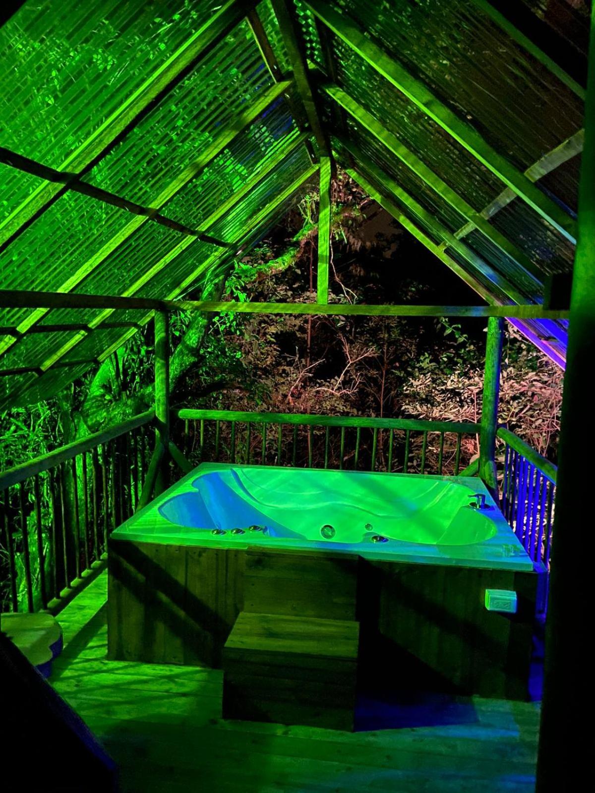 Family Room with Garden View photo 3