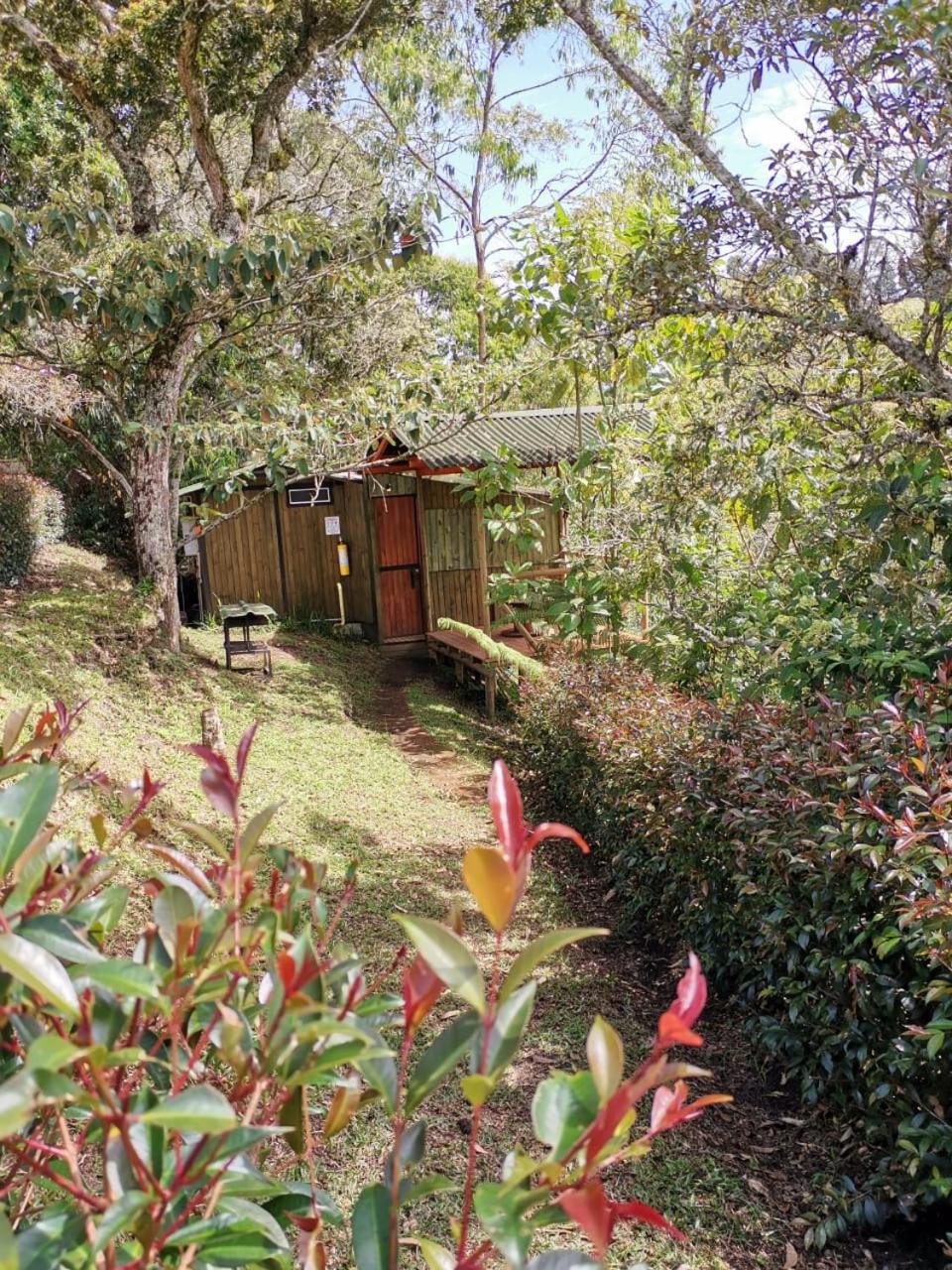 Double Room with Garden View photo 1