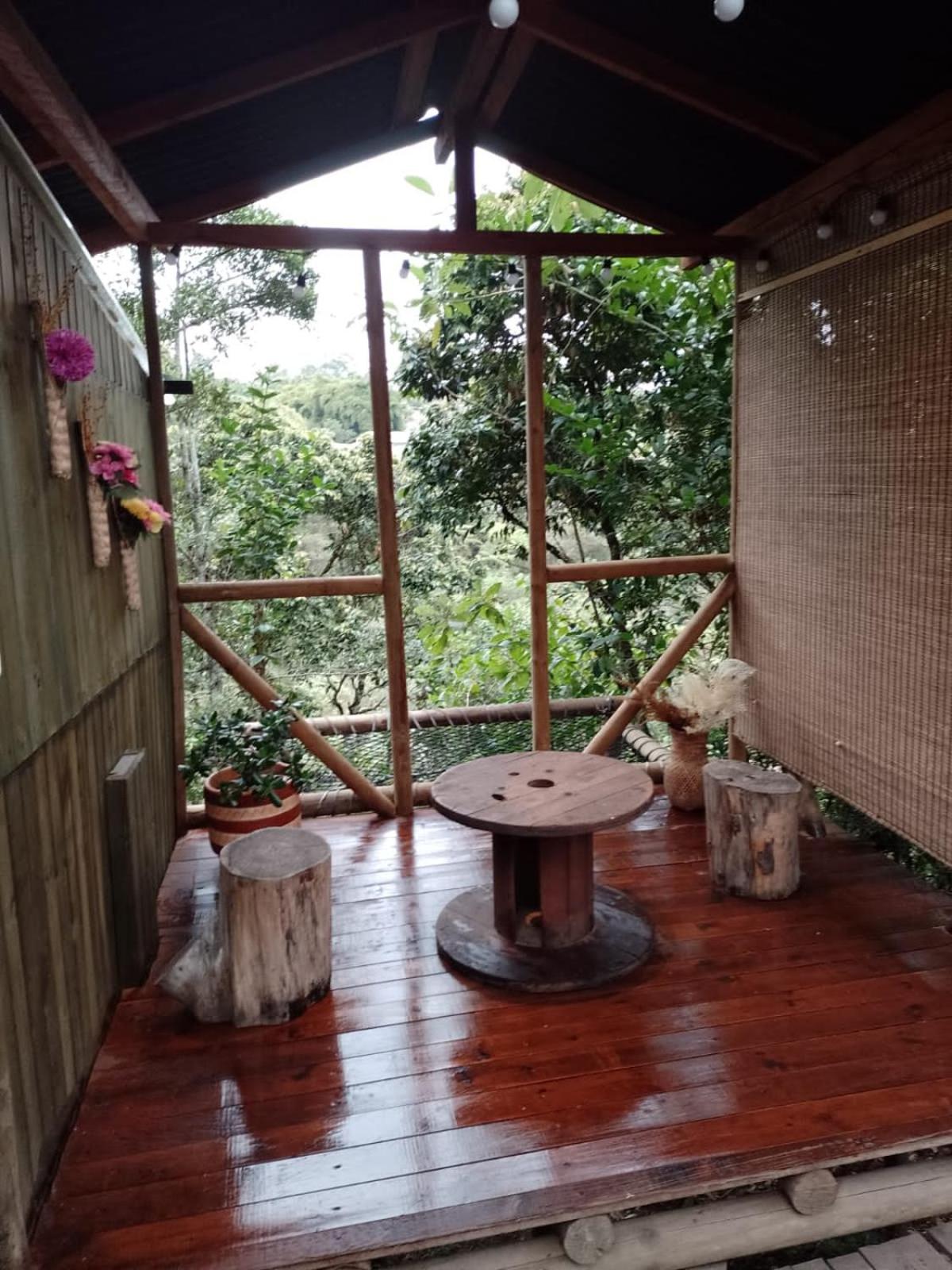 Double Room with Garden View photo 2