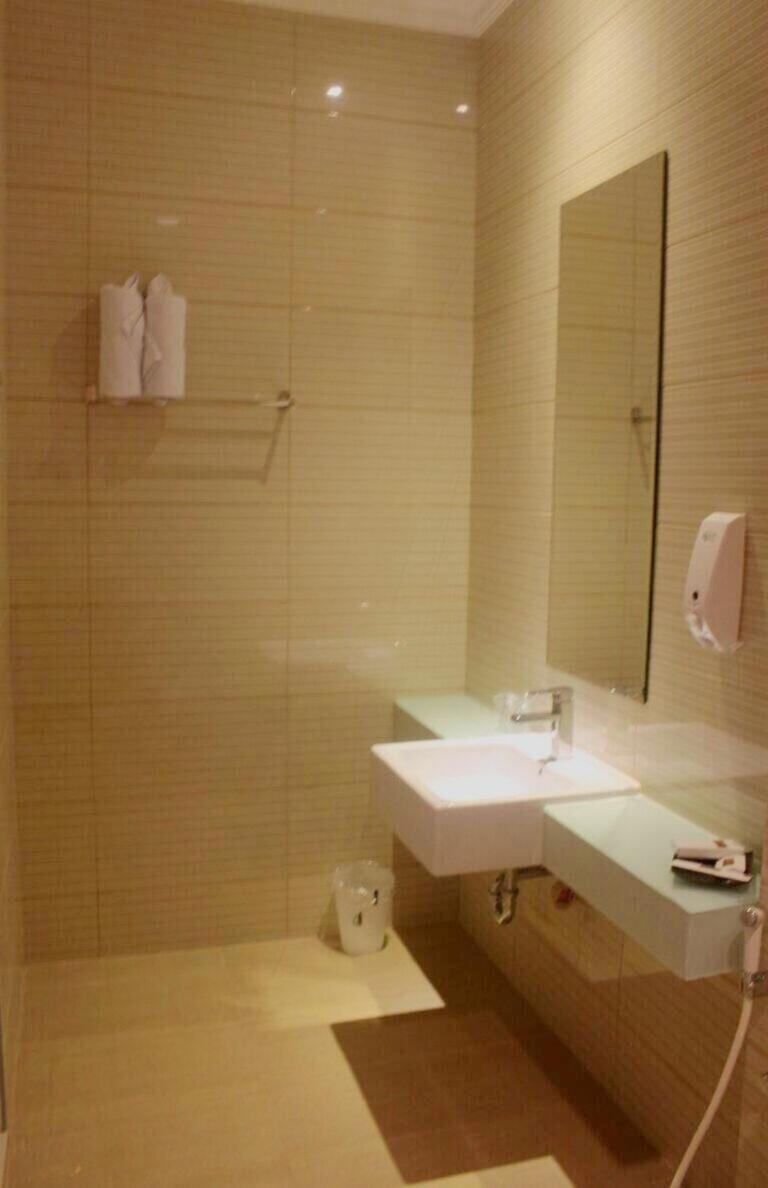 Deluxe Double or Twin Room photo 3