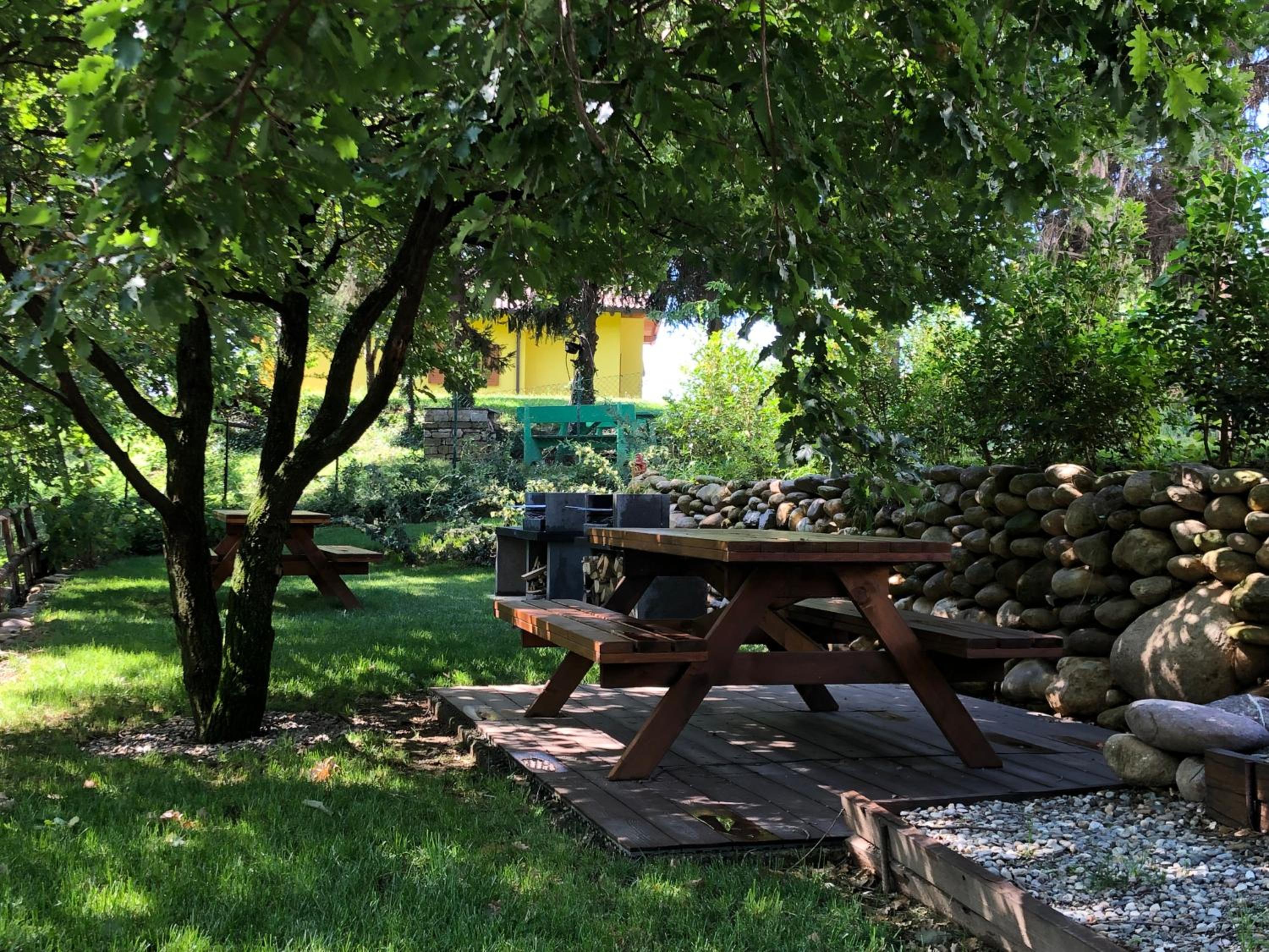 Apartment with Terrace photo 3