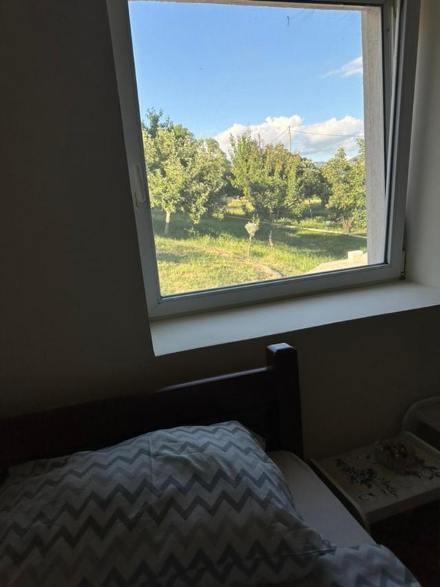 Deluxe Twin Room photo 2