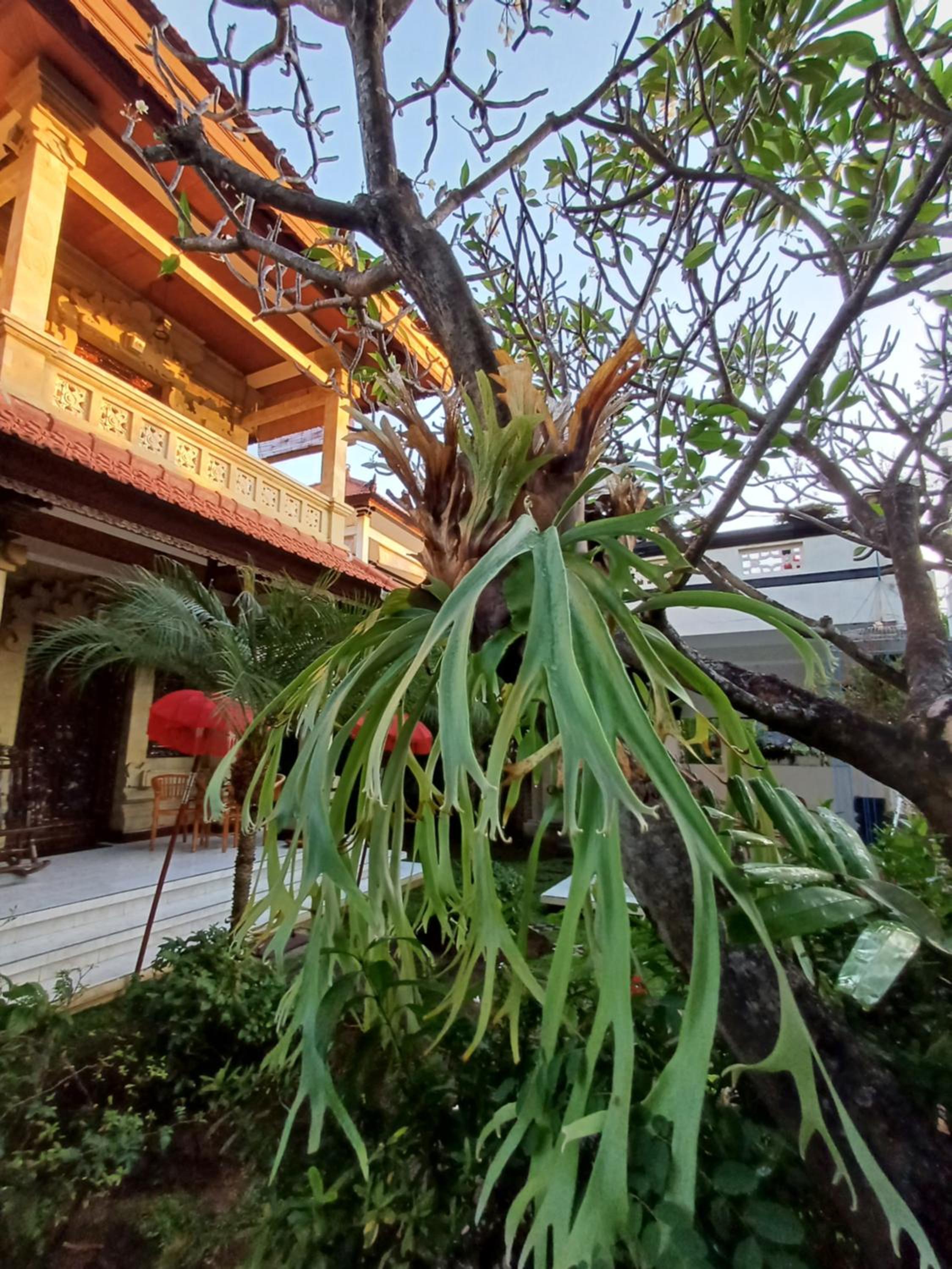 Three-Bedroom Villa - Photo 15