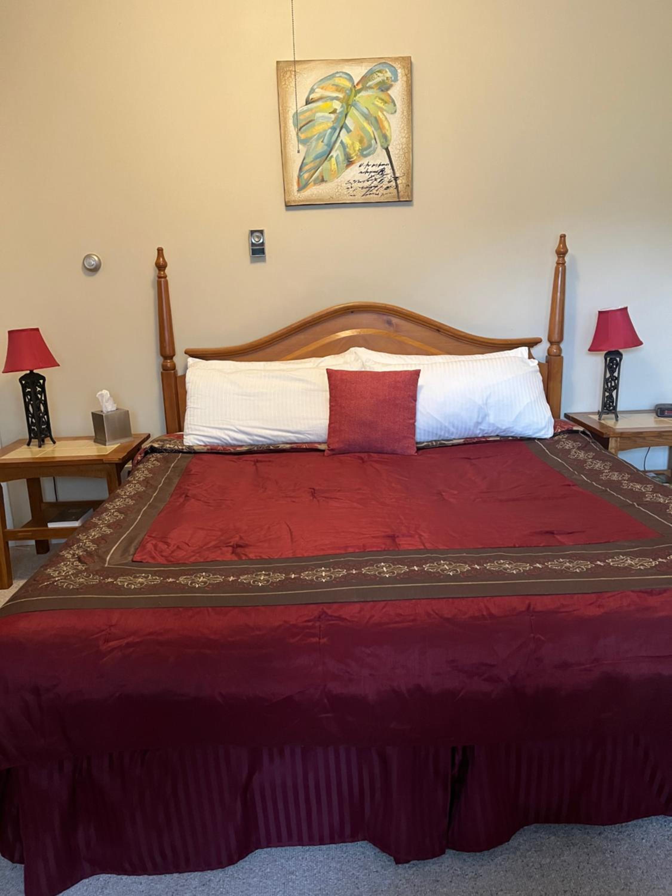 Deluxe King Suite photo 1