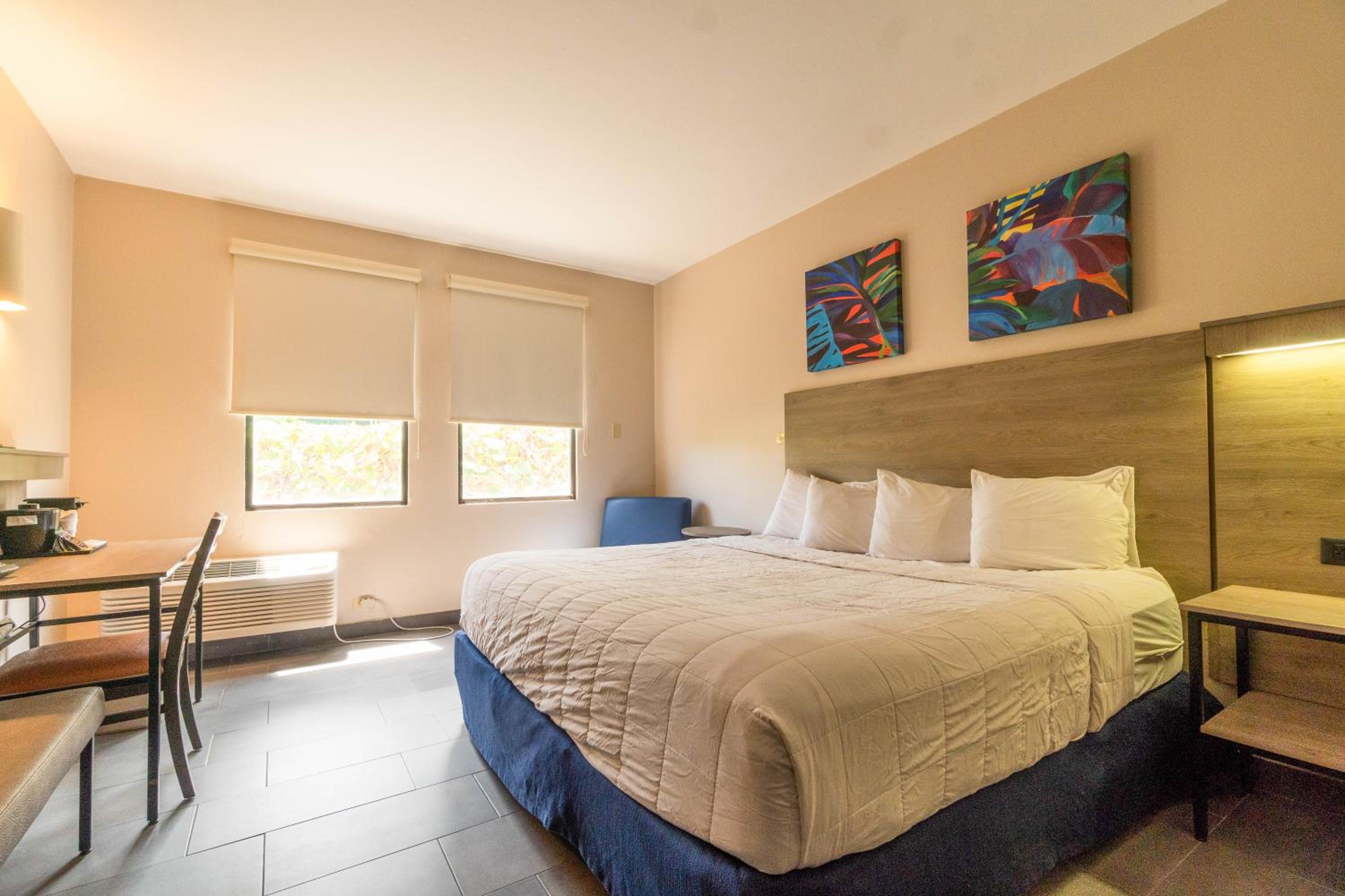Single Room photo 1