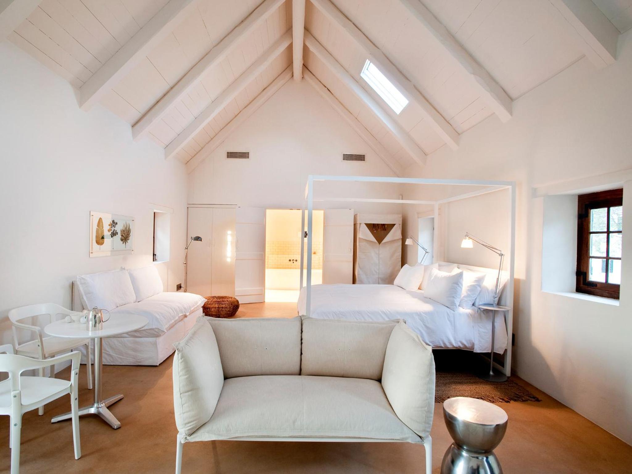 Suite - Photo 1