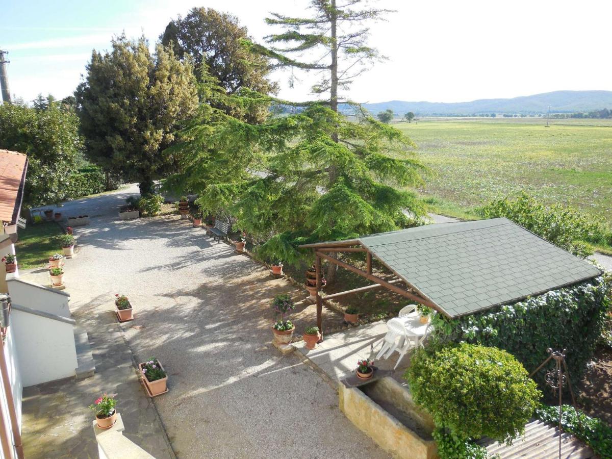 One-Bedroom Apartment with Garden - Annex