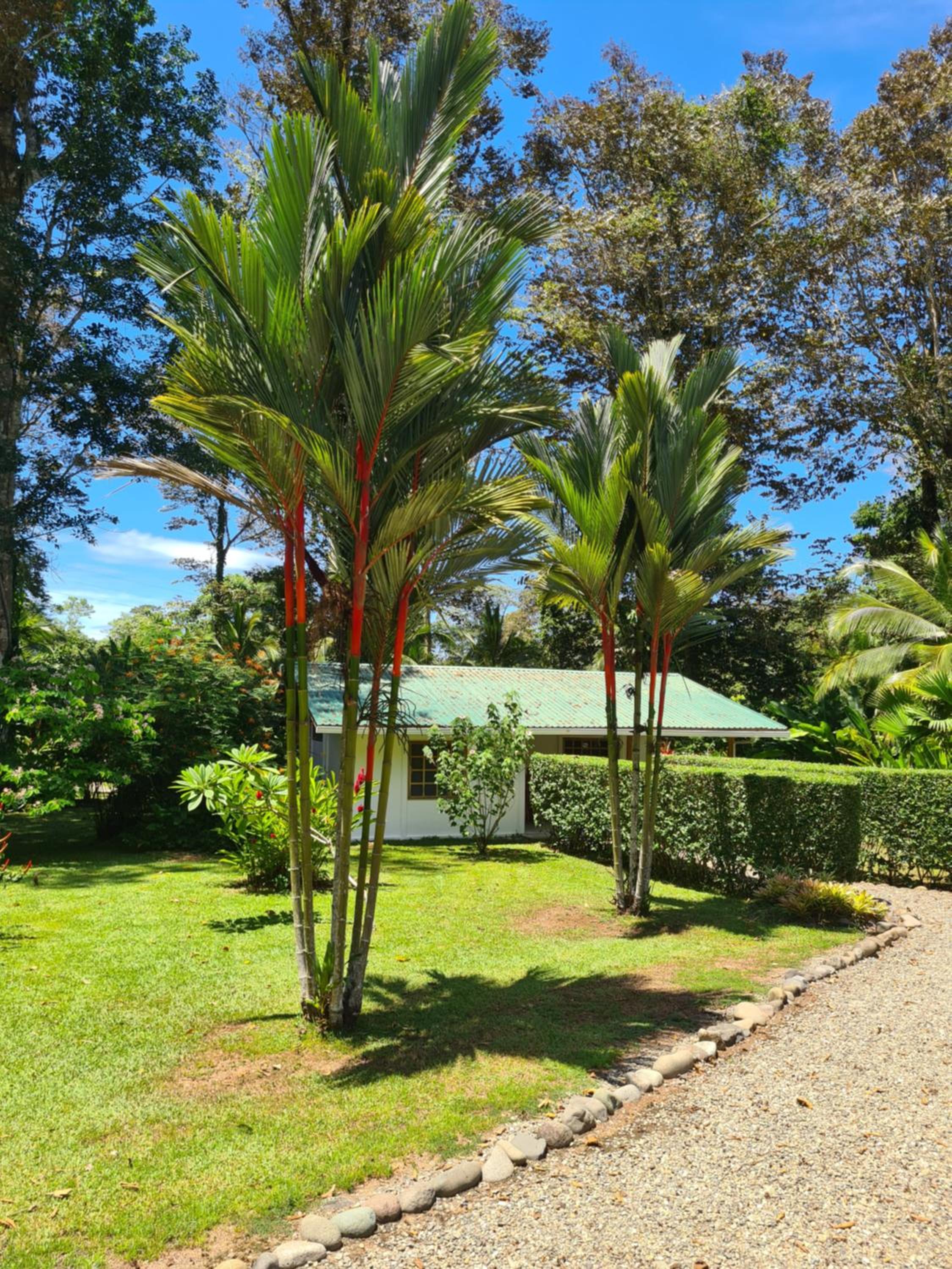 Two-Bedroom Villa photo 1