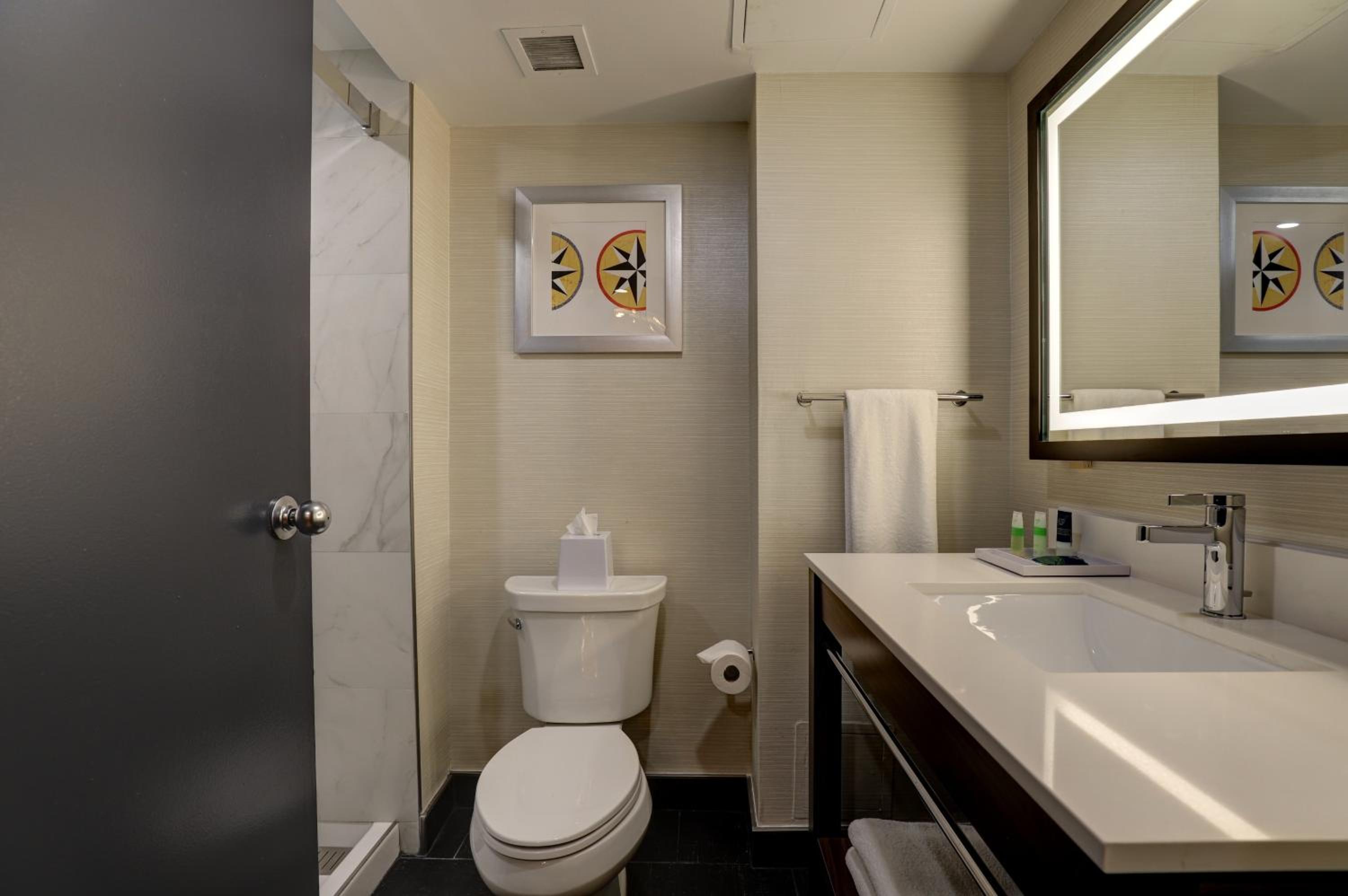 Larger Suite, 1 King, Sofa bed - Photo 9