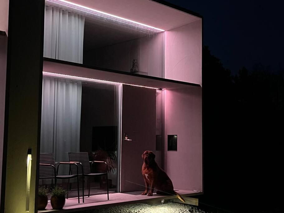 One-Bedroom Villa photo 3