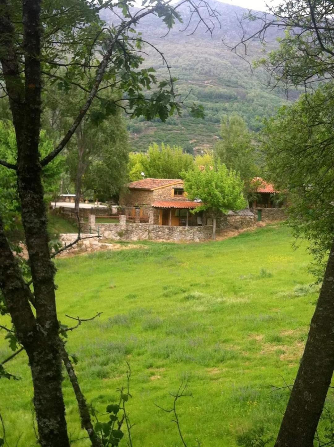 One-Bedroom Cottage (4 Adults) photo 2