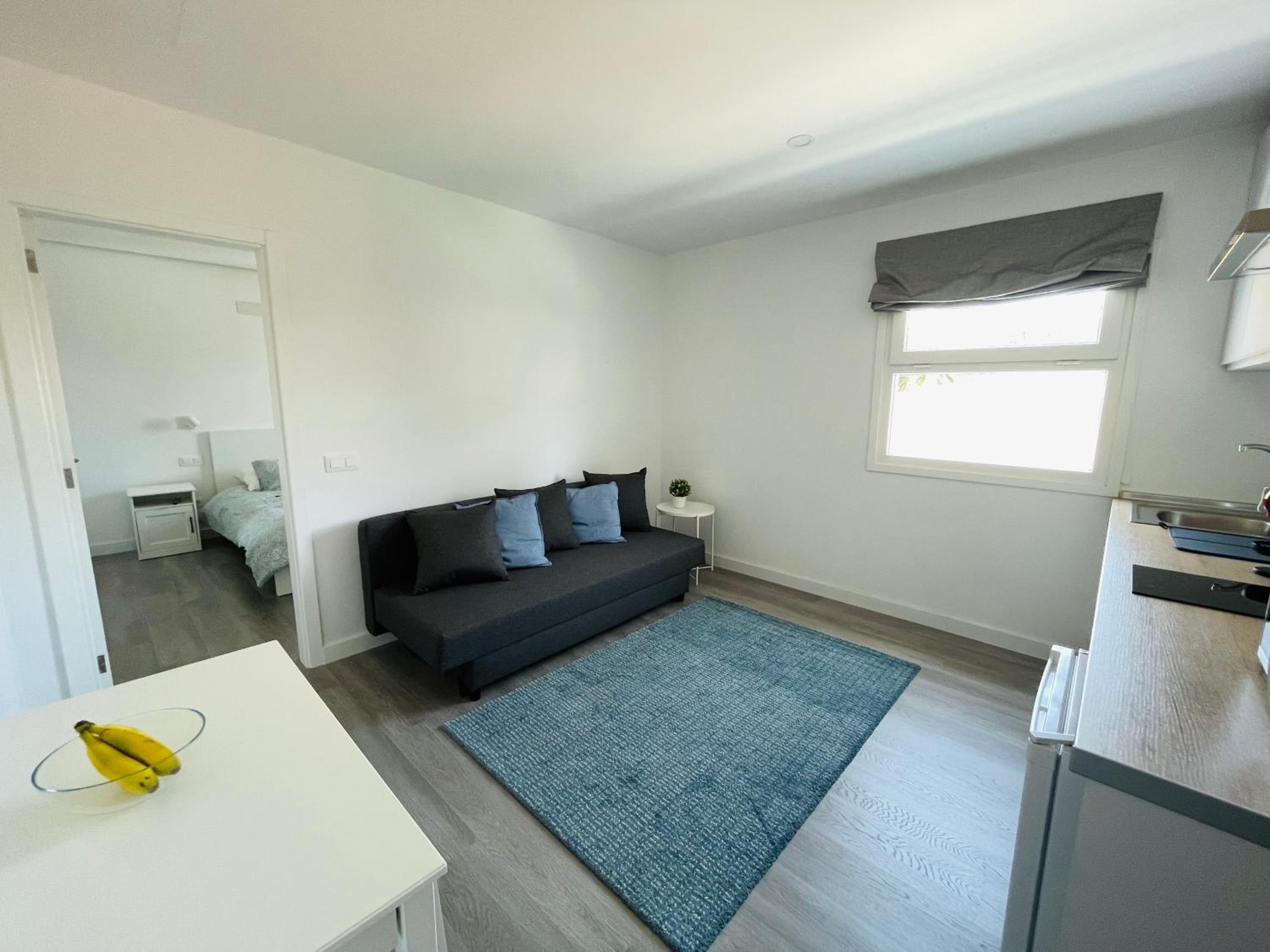 Standard Apartment photo 2
