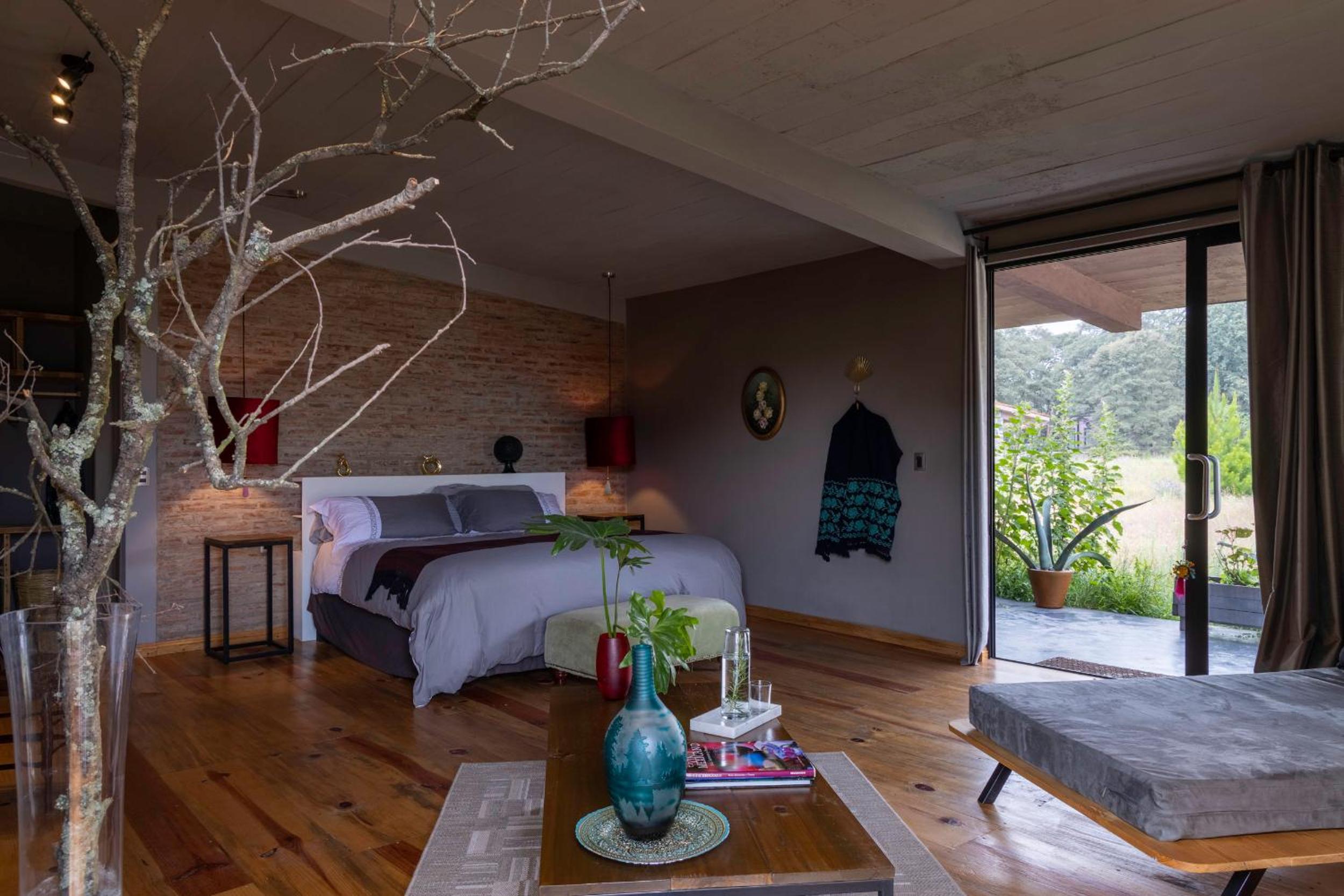 Suite photo 1