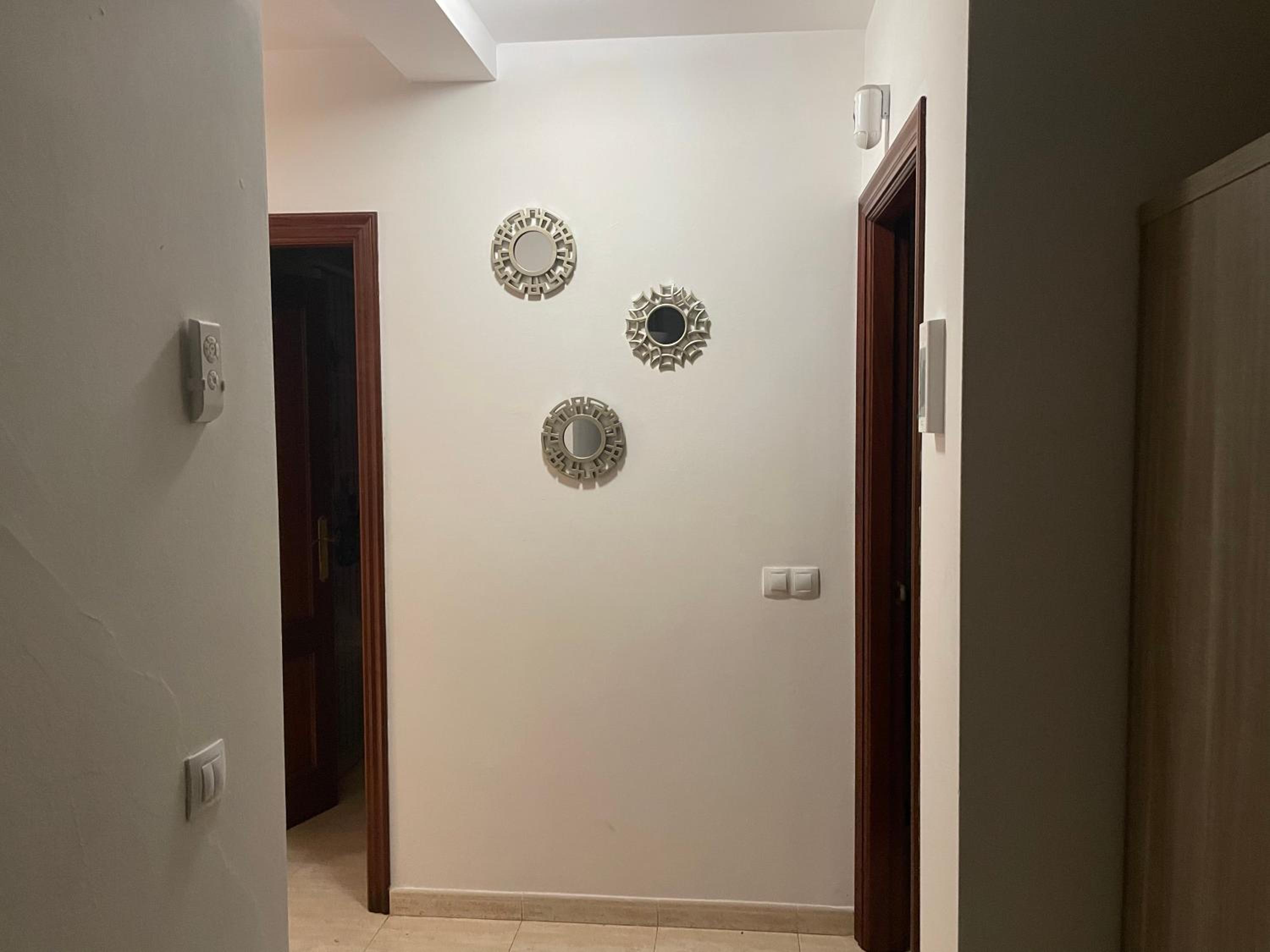 One-Bedroom Apartment photo 3