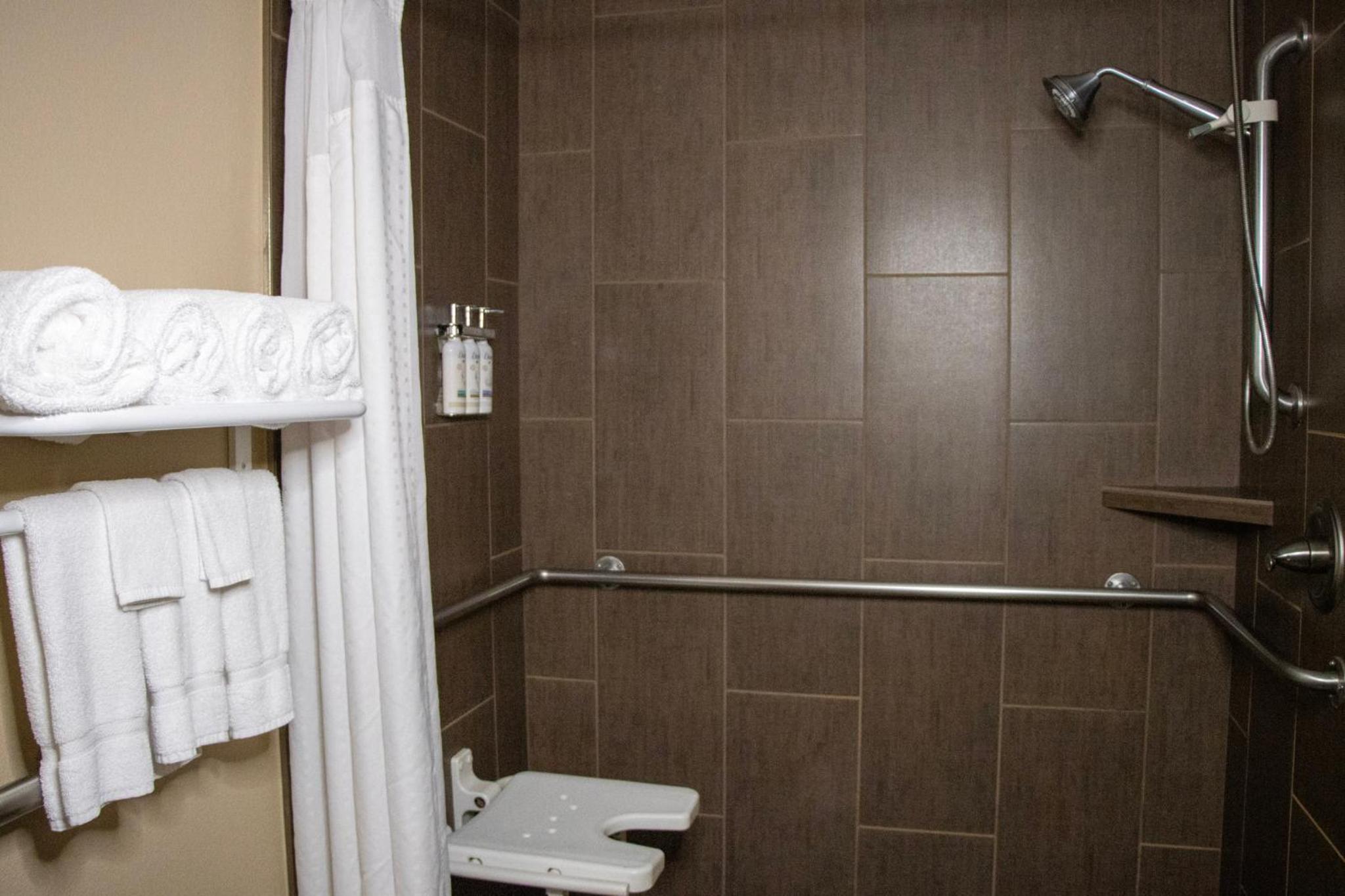 Standard King Room with Mobility Accessible Roll-In Shower - Photo 2