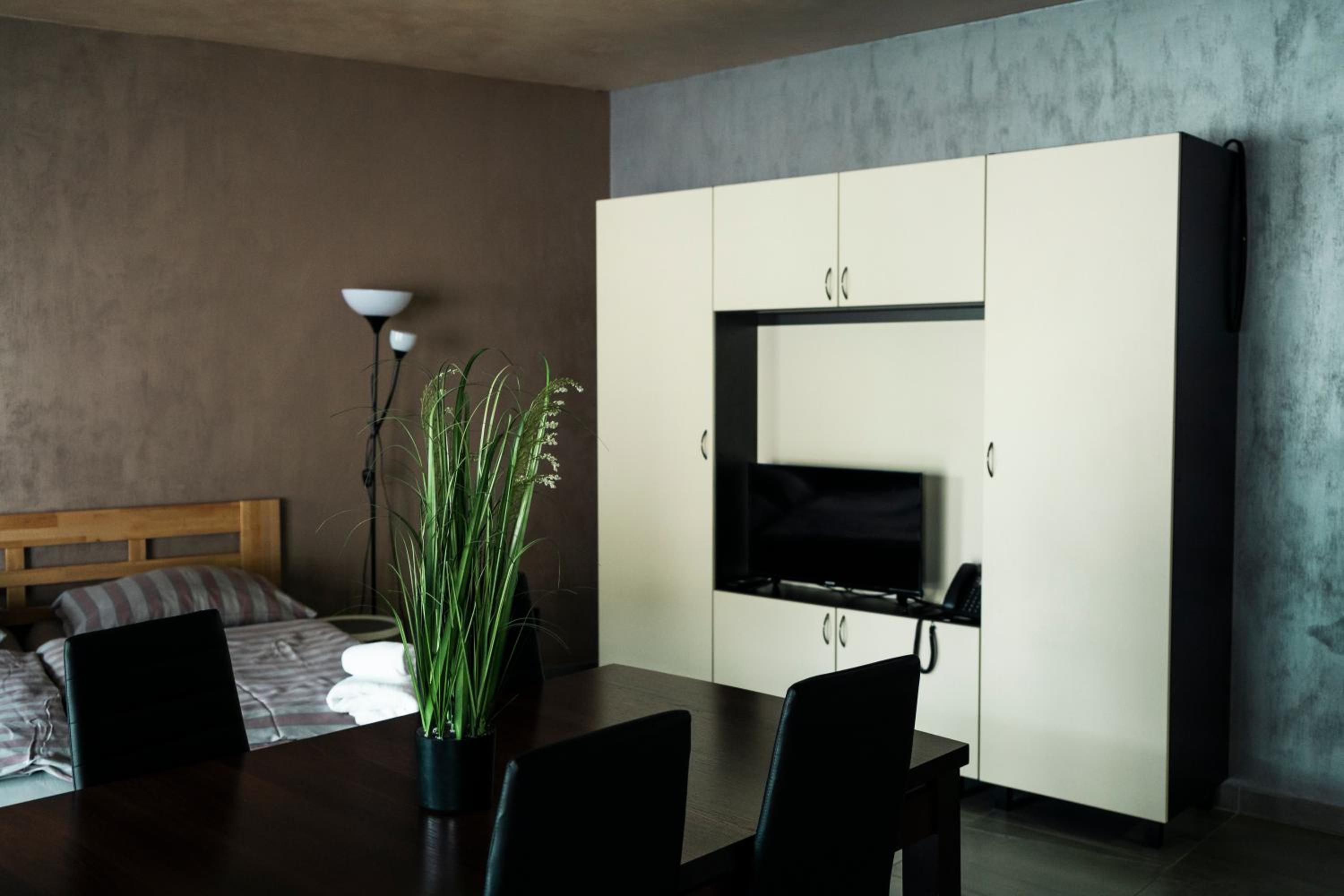 Deluxe Apartment photo 3
