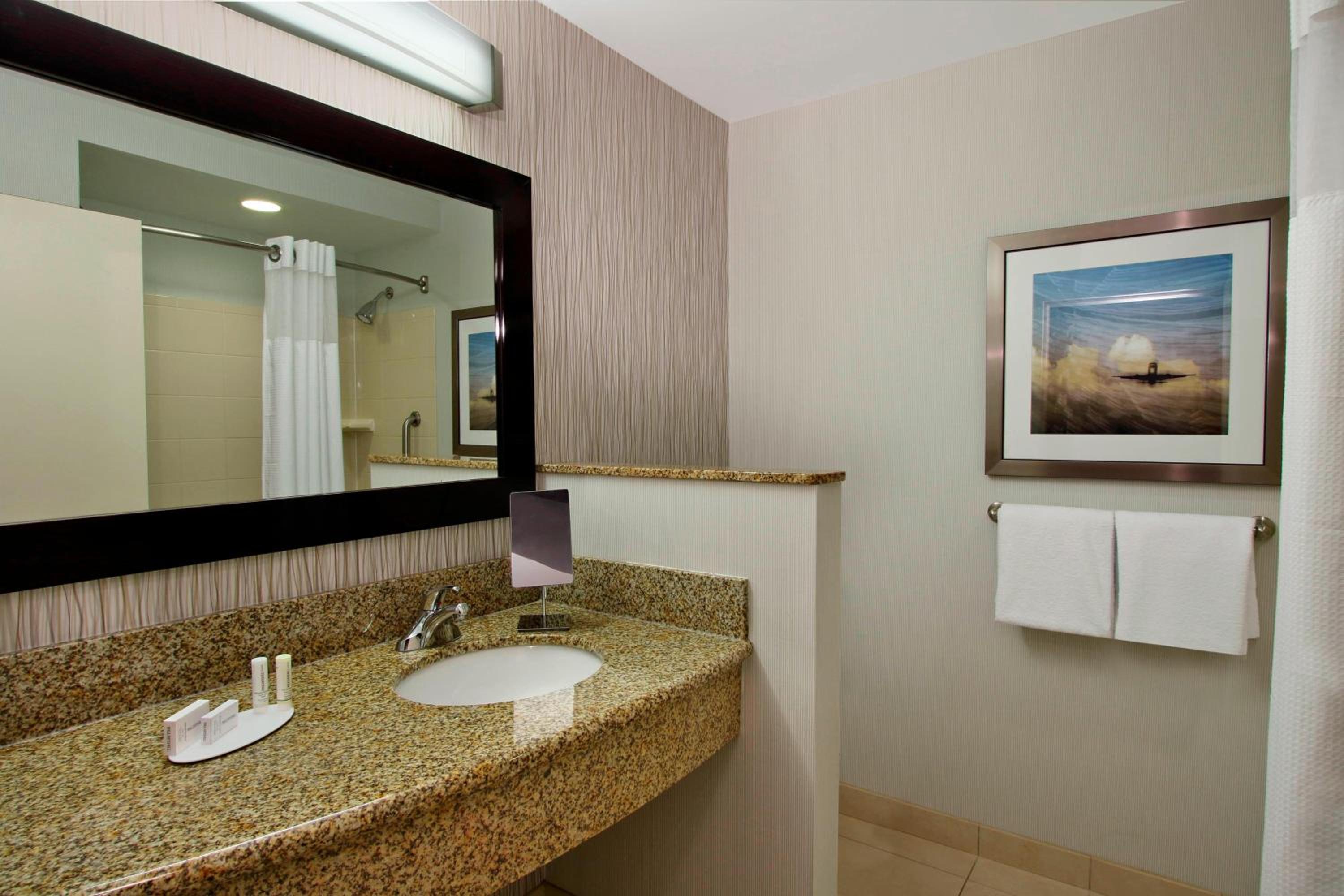 One-Bedroom Suite - Photo 4