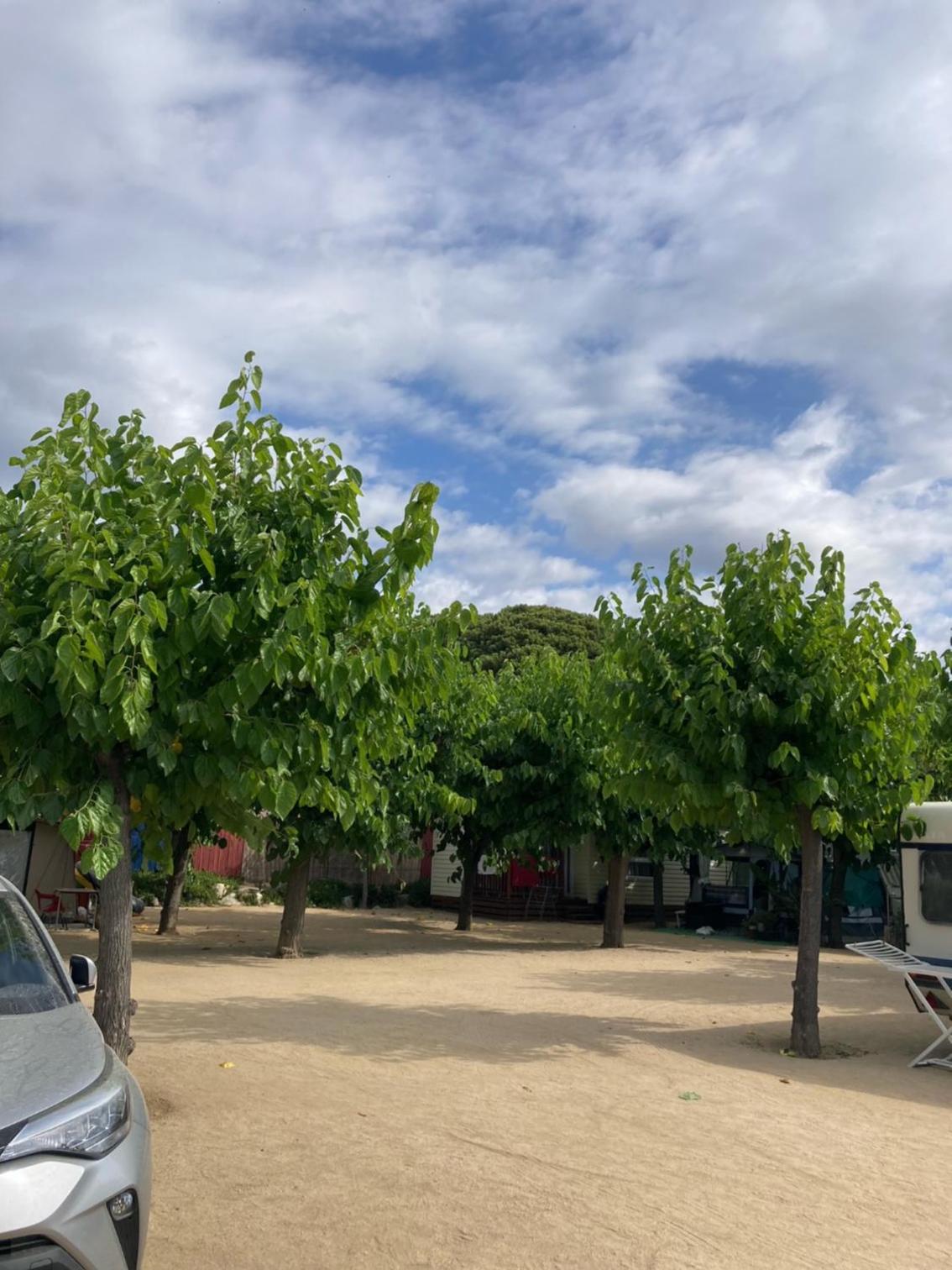 Terreno vacío con electricidad (Trae una tienda de campaña, caravana o tu propia furgoneta)