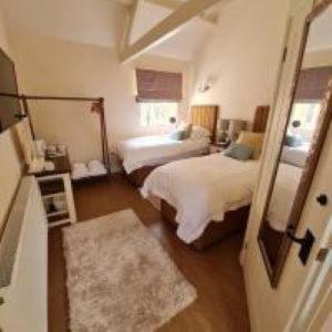 Double or Twin Room photo 2