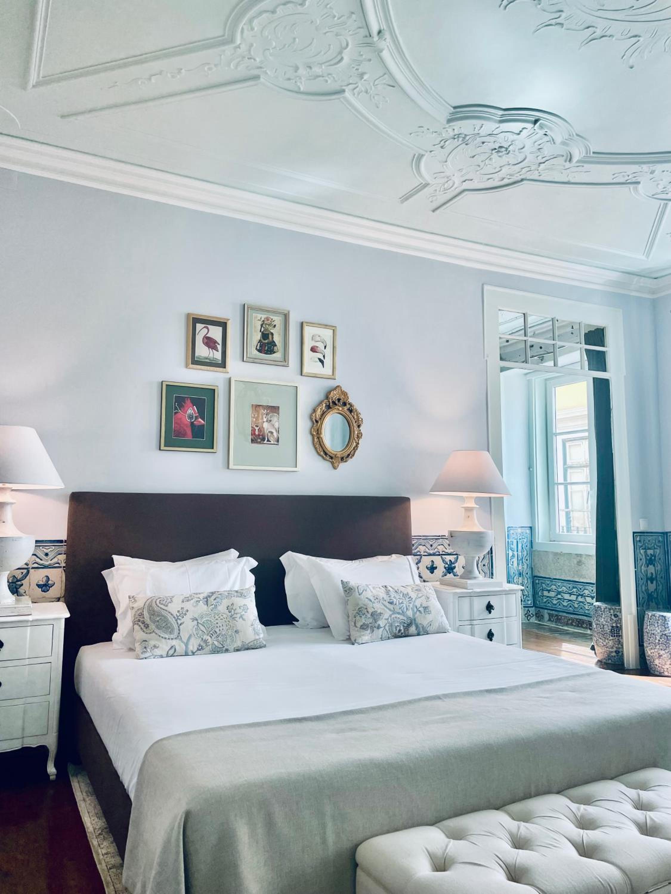 Suite - Photo 1