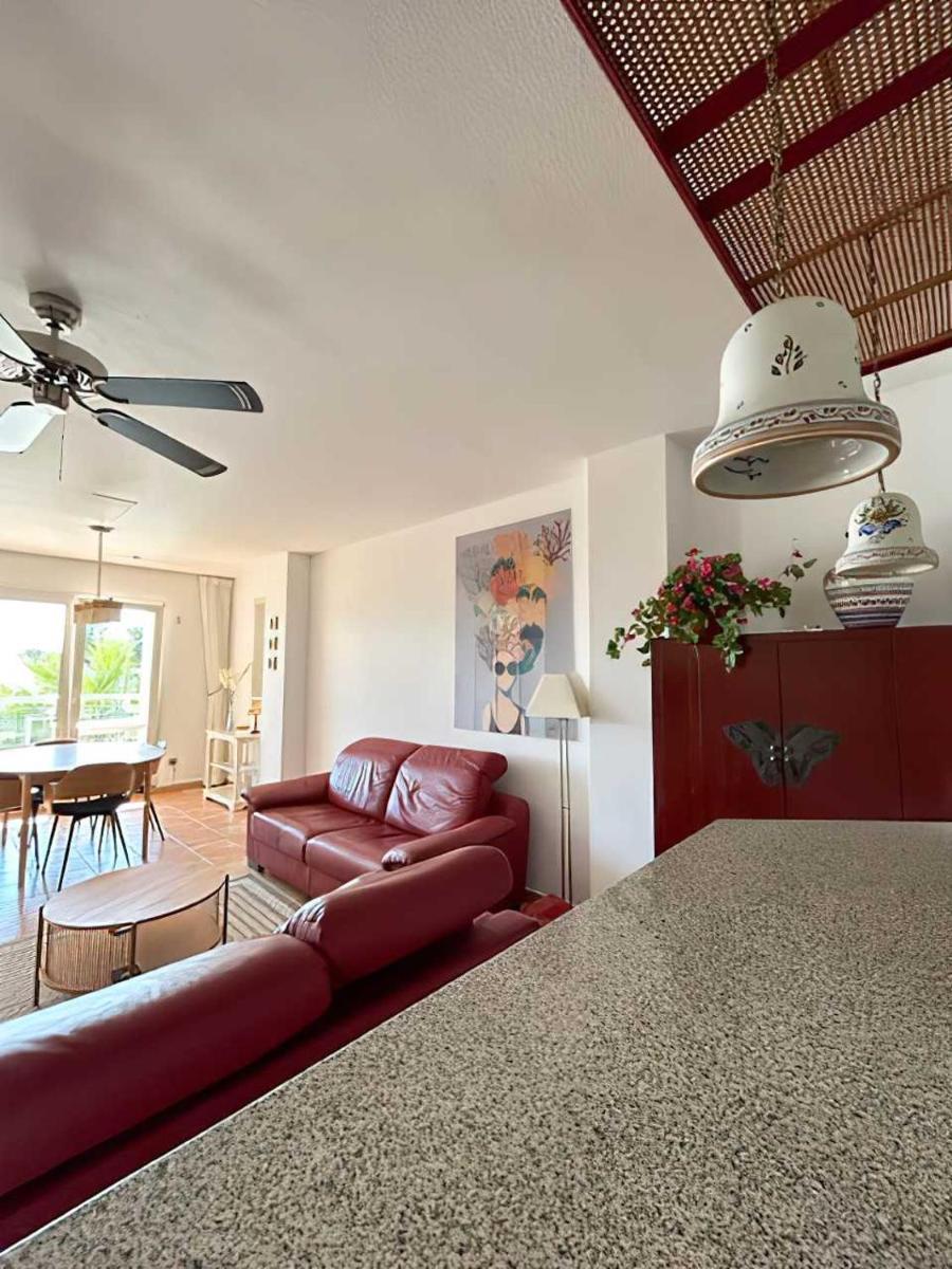 Apartment with Terrace photo 2
