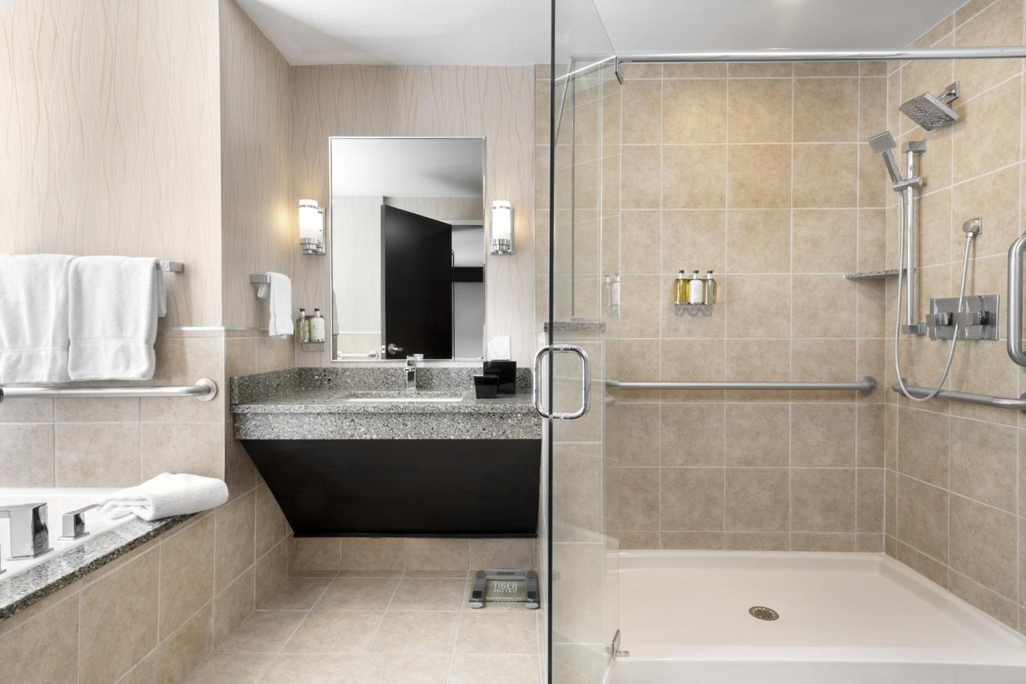 King Suite with Mobility Accessible Transfer Shower - Photo 2