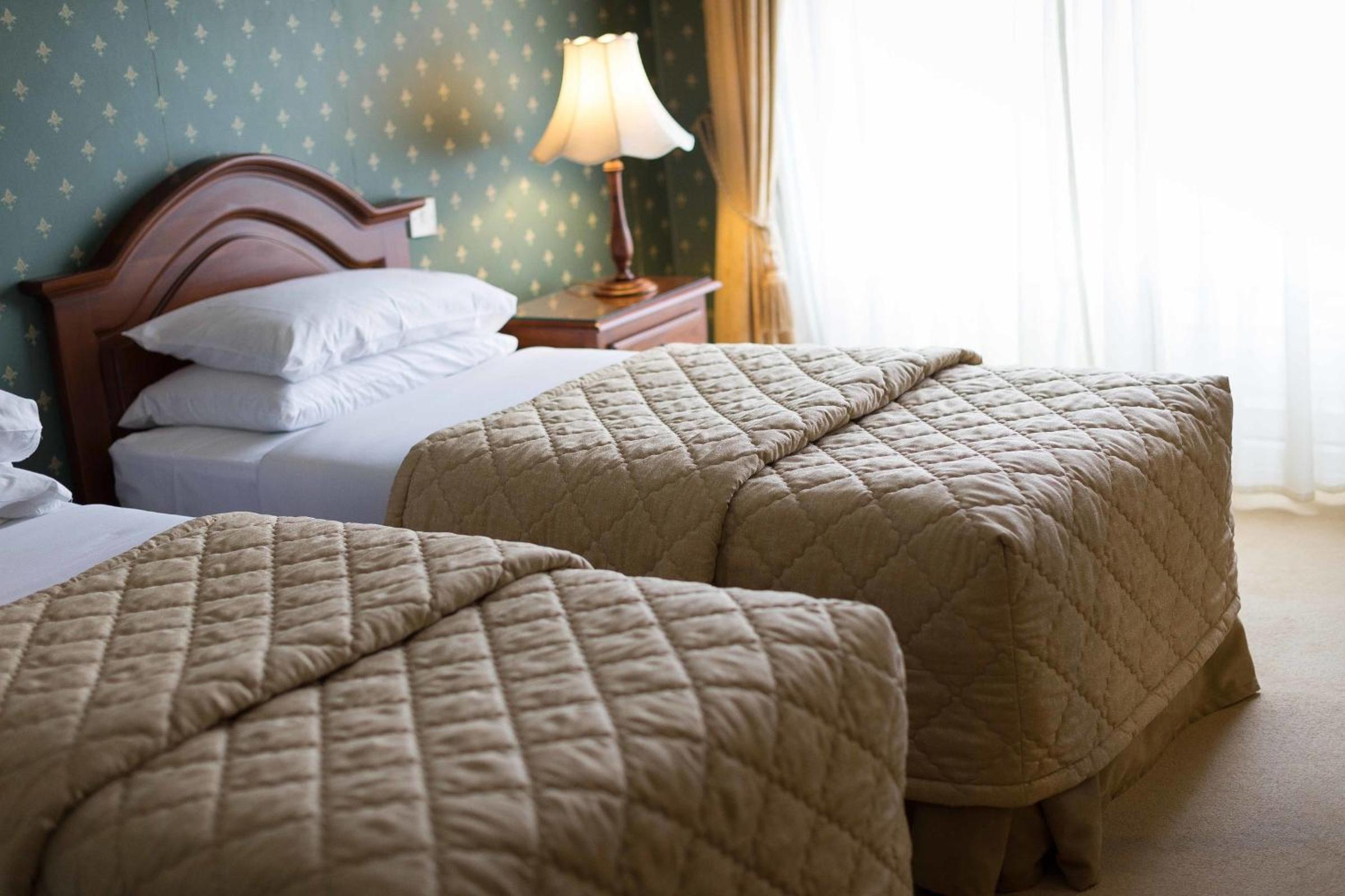 Twin Room photo 3