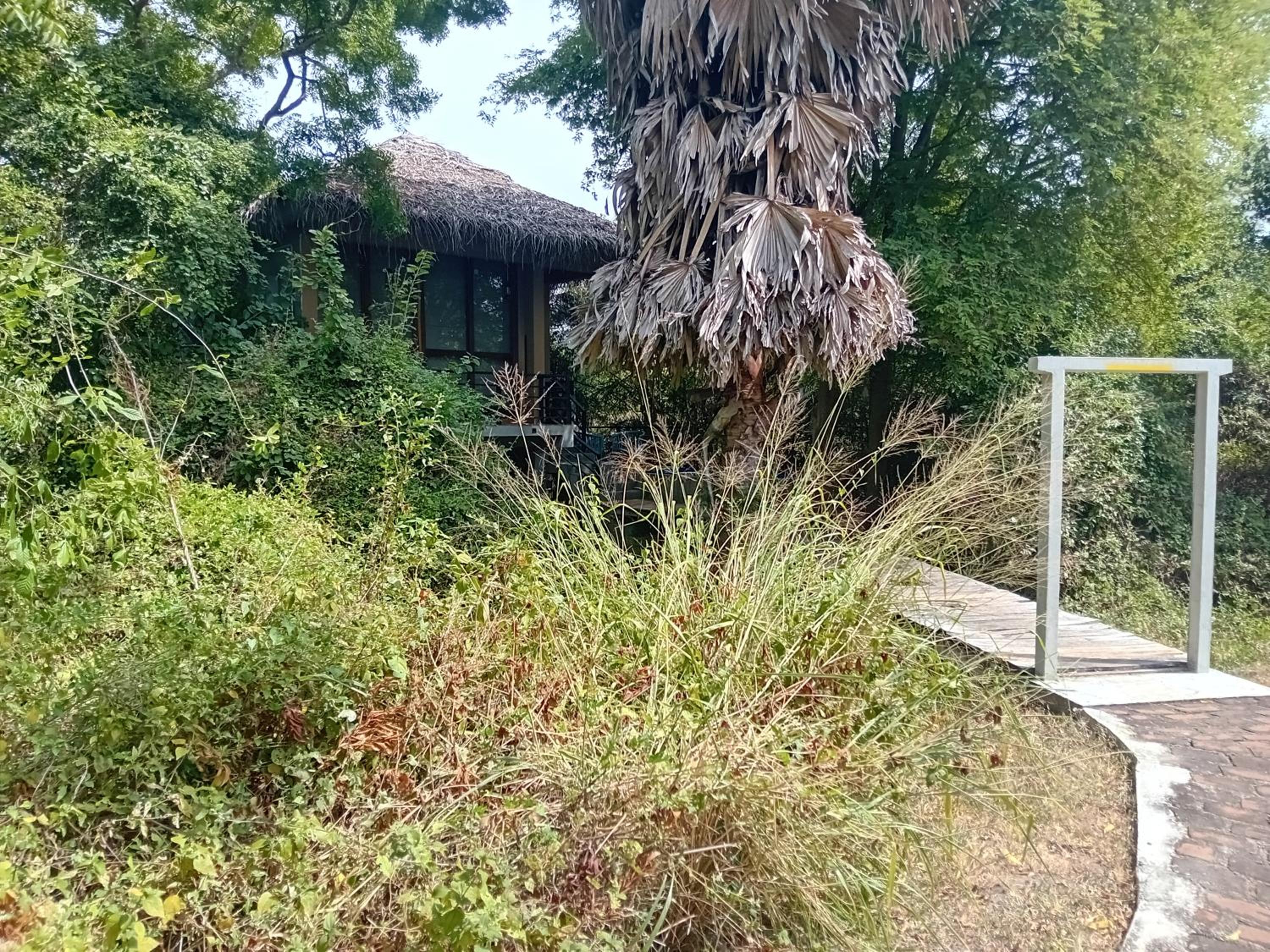 Jungle villa with Private pool photo 3