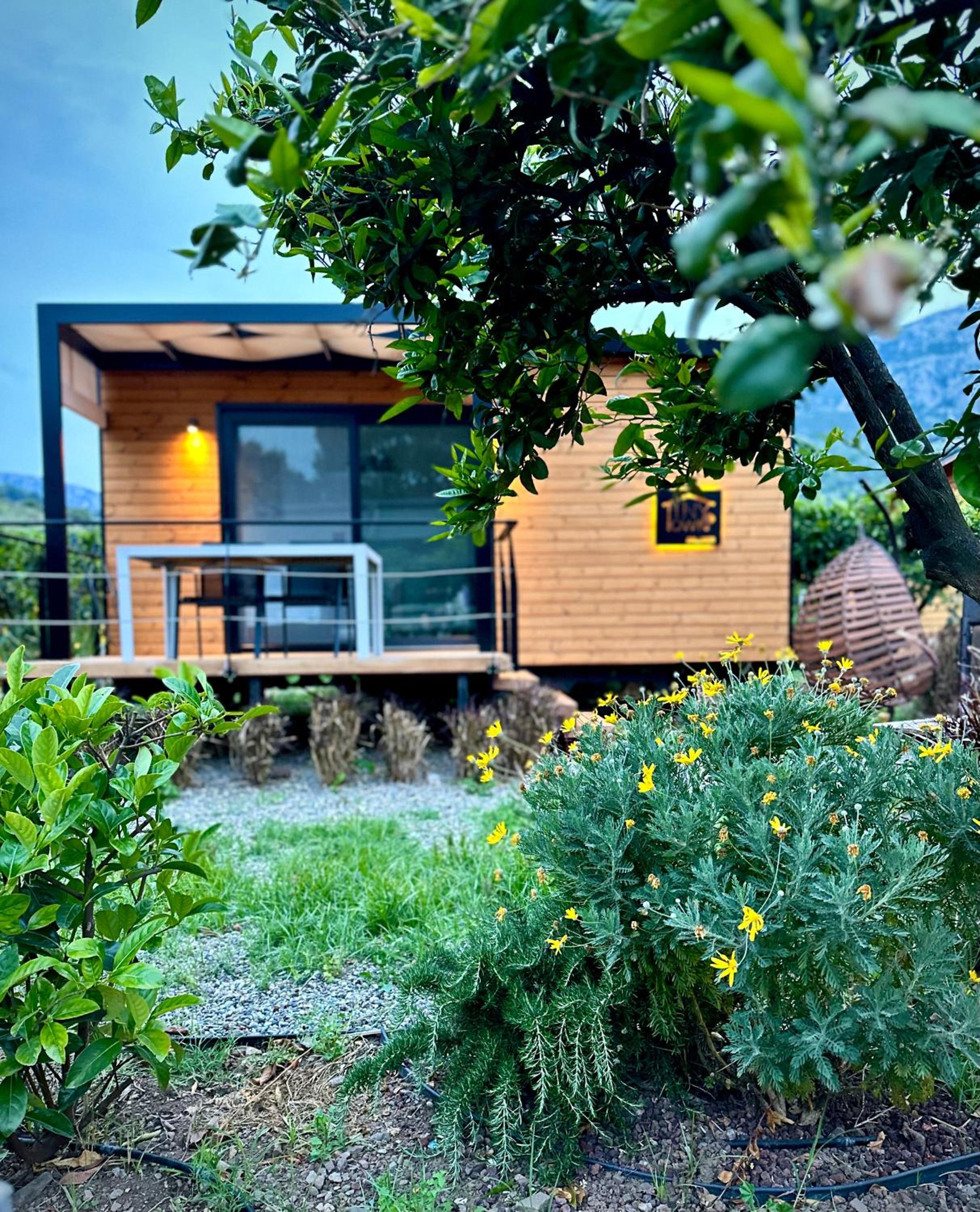 Double Room With Garden View photo 3