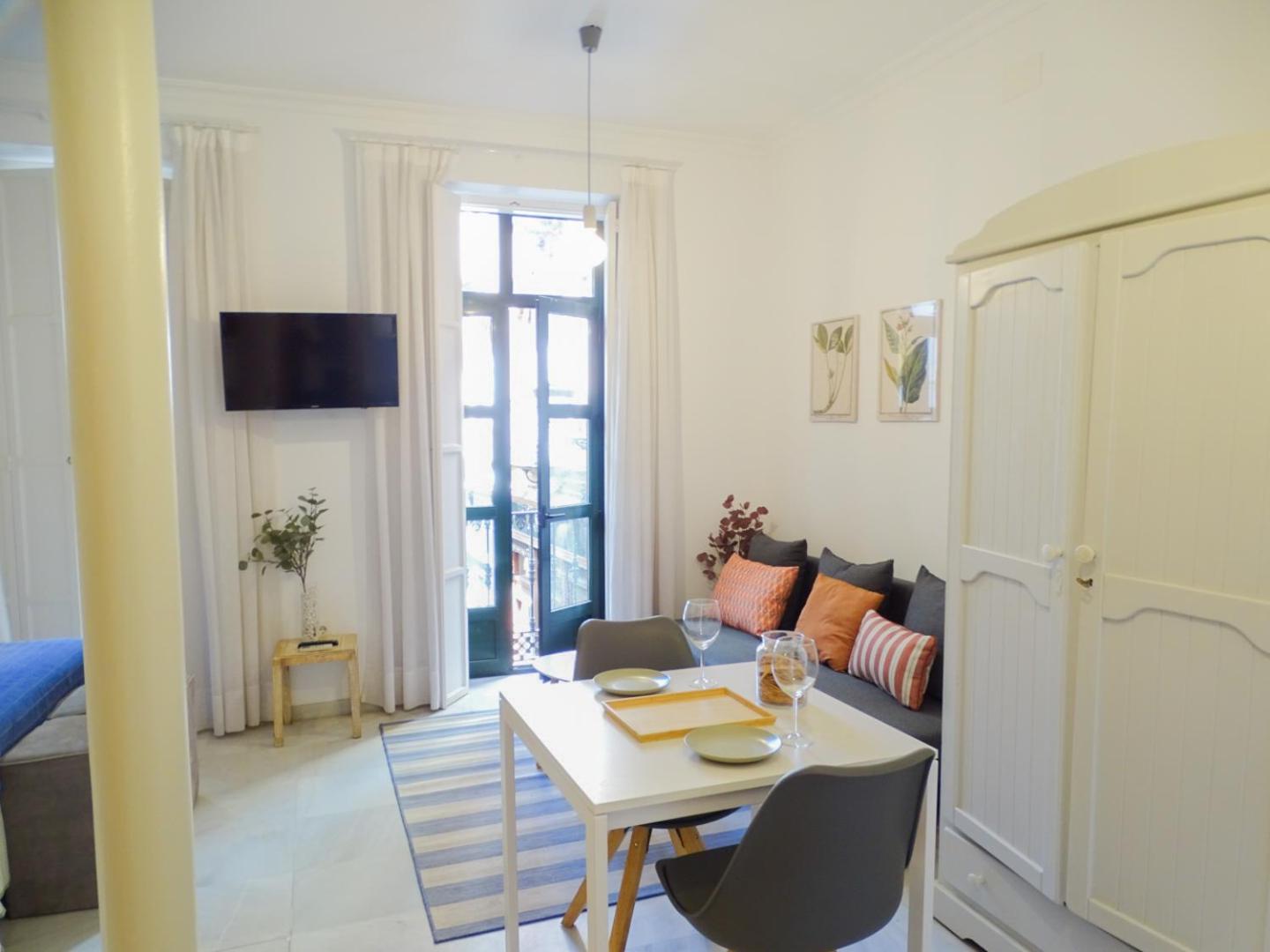 Apartamento de una habitación