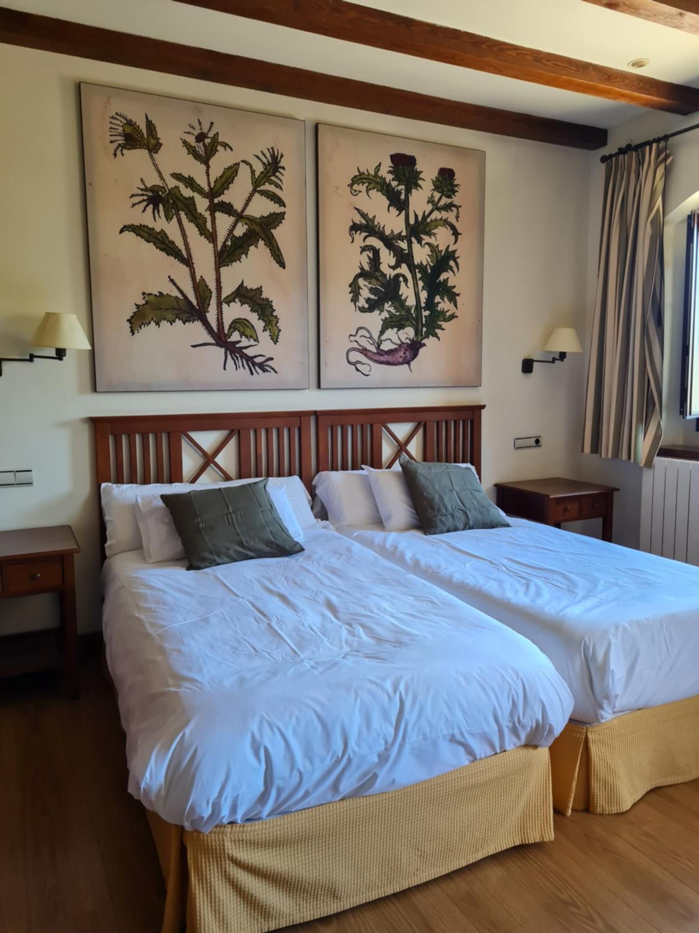 Deluxe Double or Twin Room with Mountain View photo 3