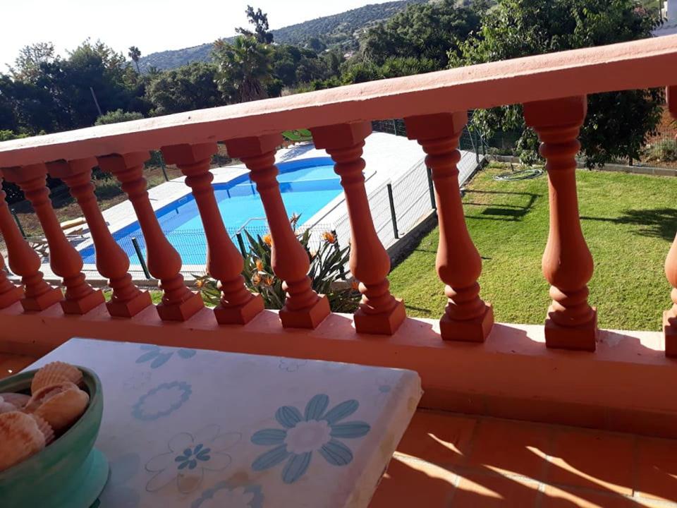 Double Room with Pool View photo 2