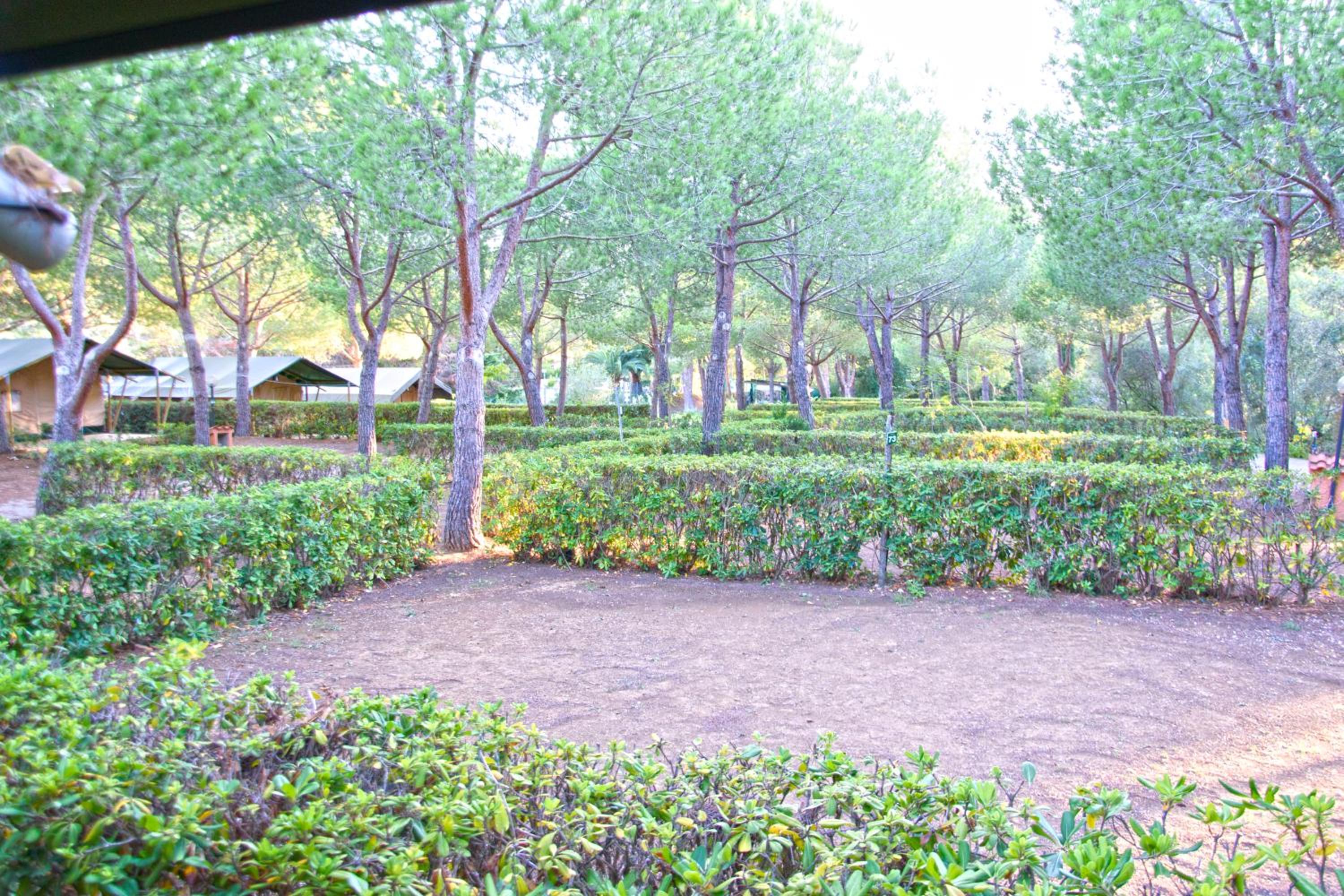 Big Empty lot (bring your own tent), for tents larger than 2x2 yards photo 2