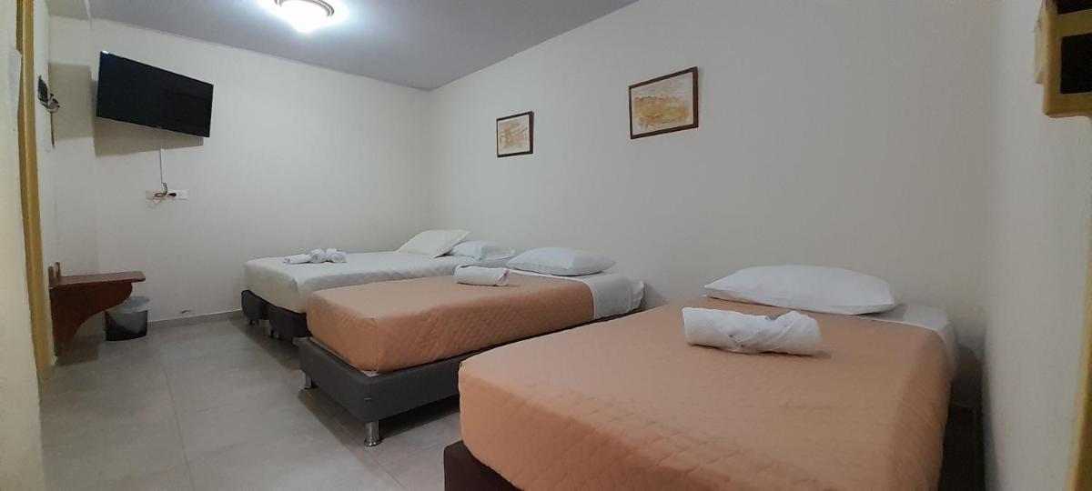 Triple Room photo 1