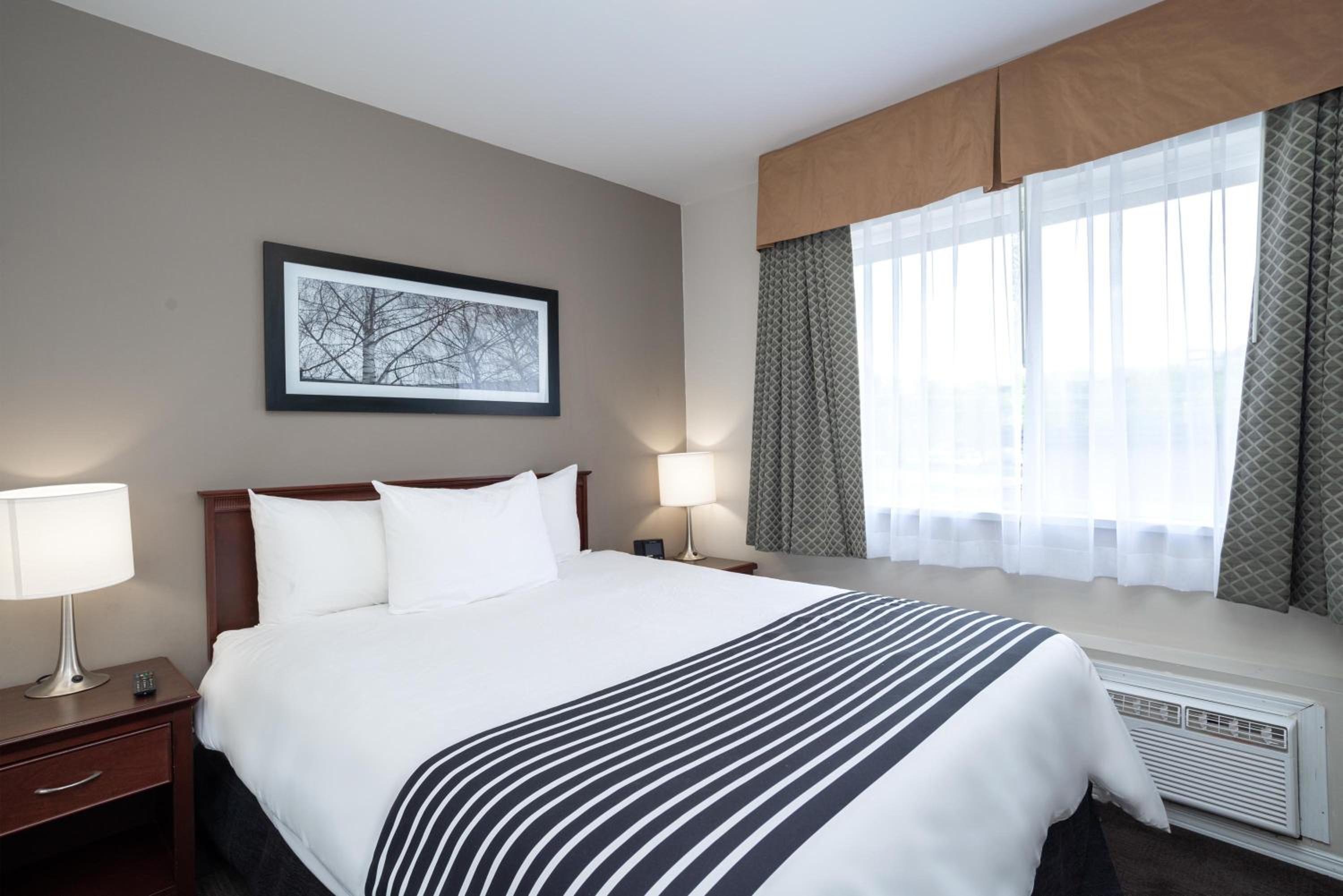 2 Bedroom Suite, 1 King, 1 Queen, Sofa Bed, Kitchen - Photo 1