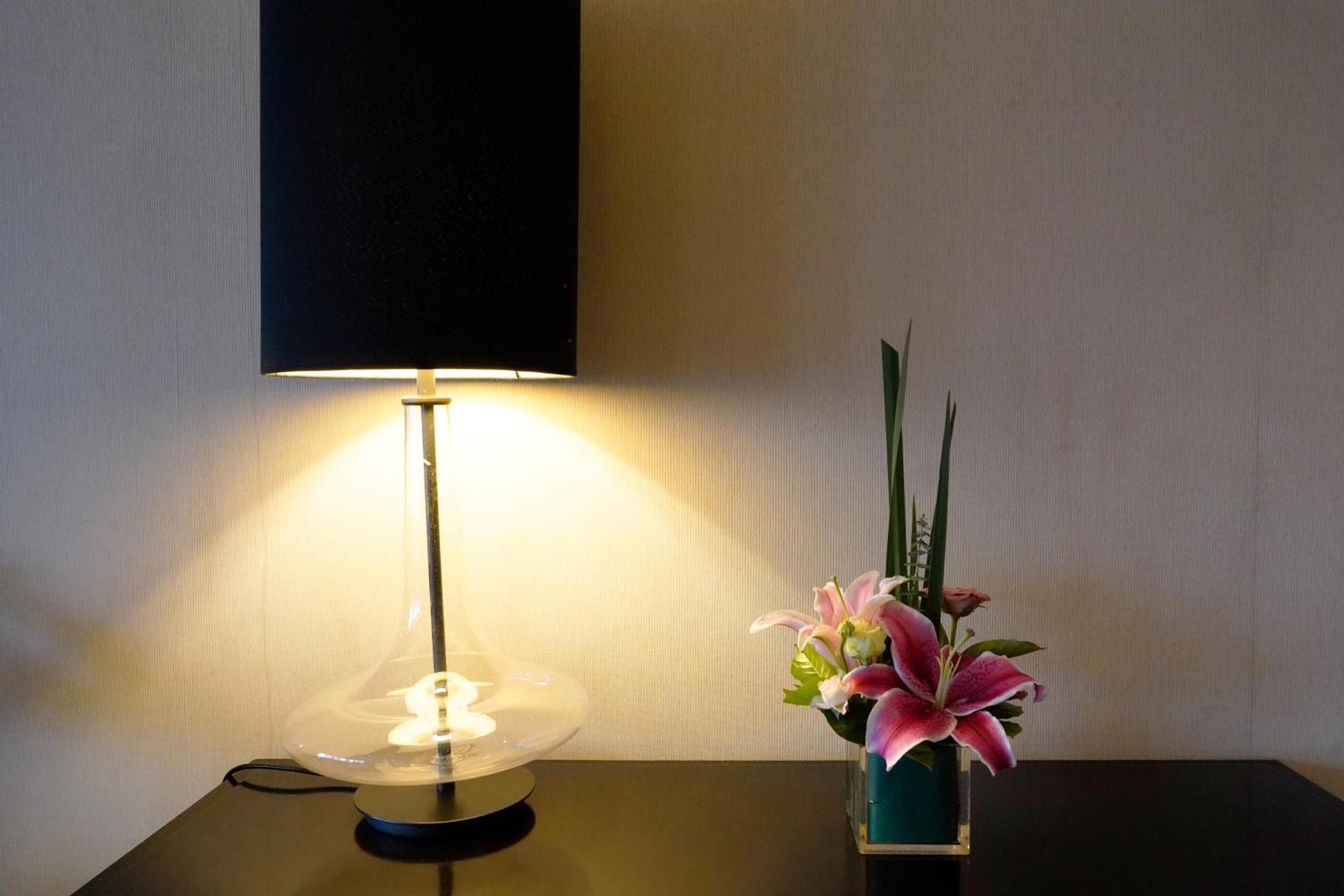 Premier Lake View King（Complimentary soft drinks and snacks in mini bar） - Photo 8
