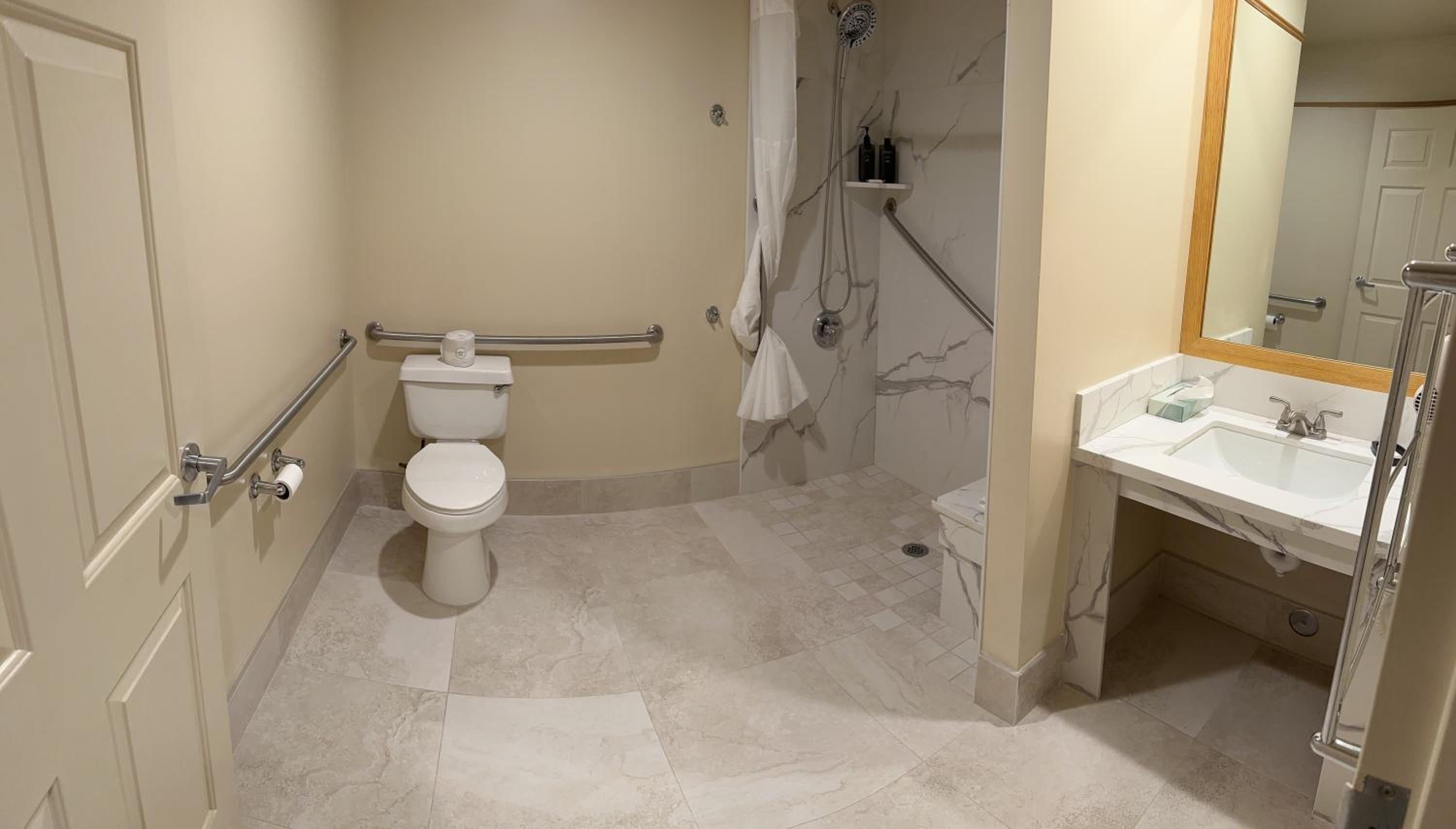 King Room with Mobility/Hearing Access and Roll-In Shower, Non-Smoking - Photo 5