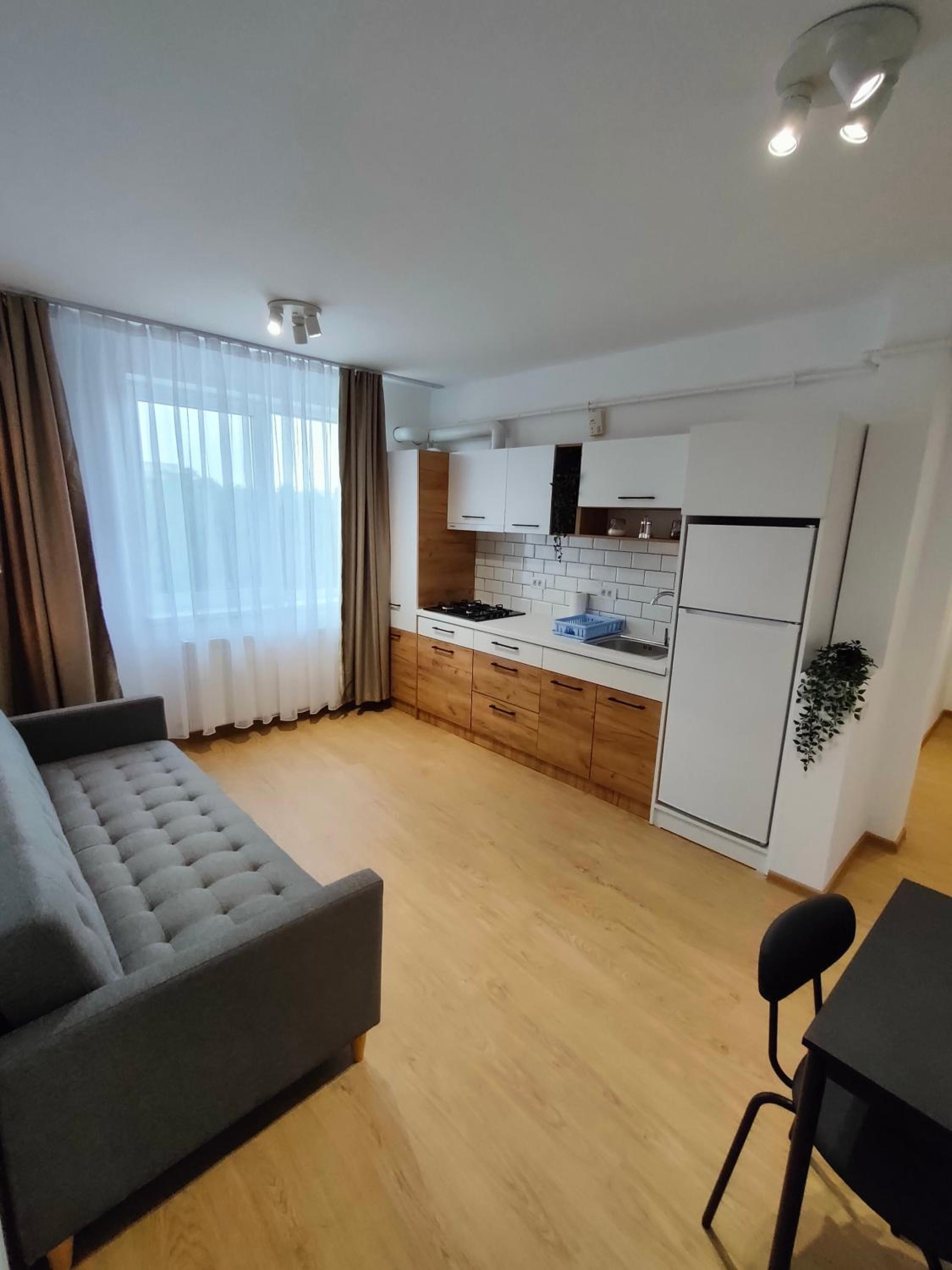 One-Bedroom Apartment - Photo 4