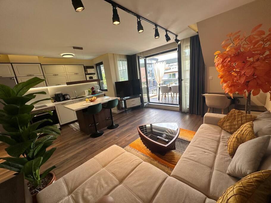 One-Bedroom Apartment photo 2