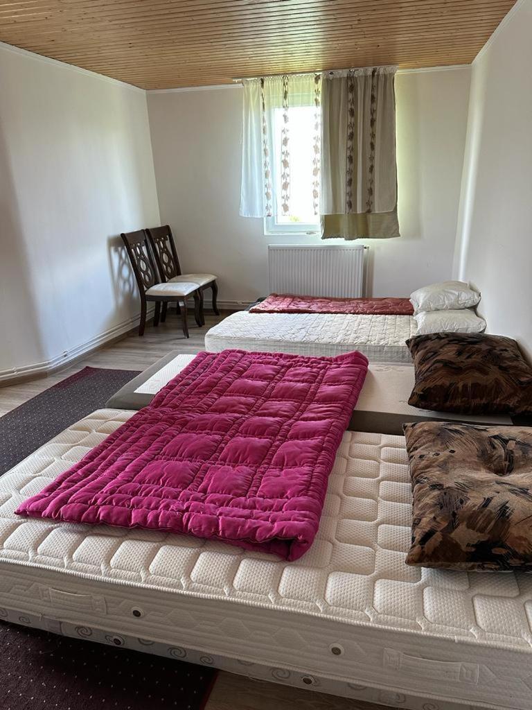 Family Room photo 1
