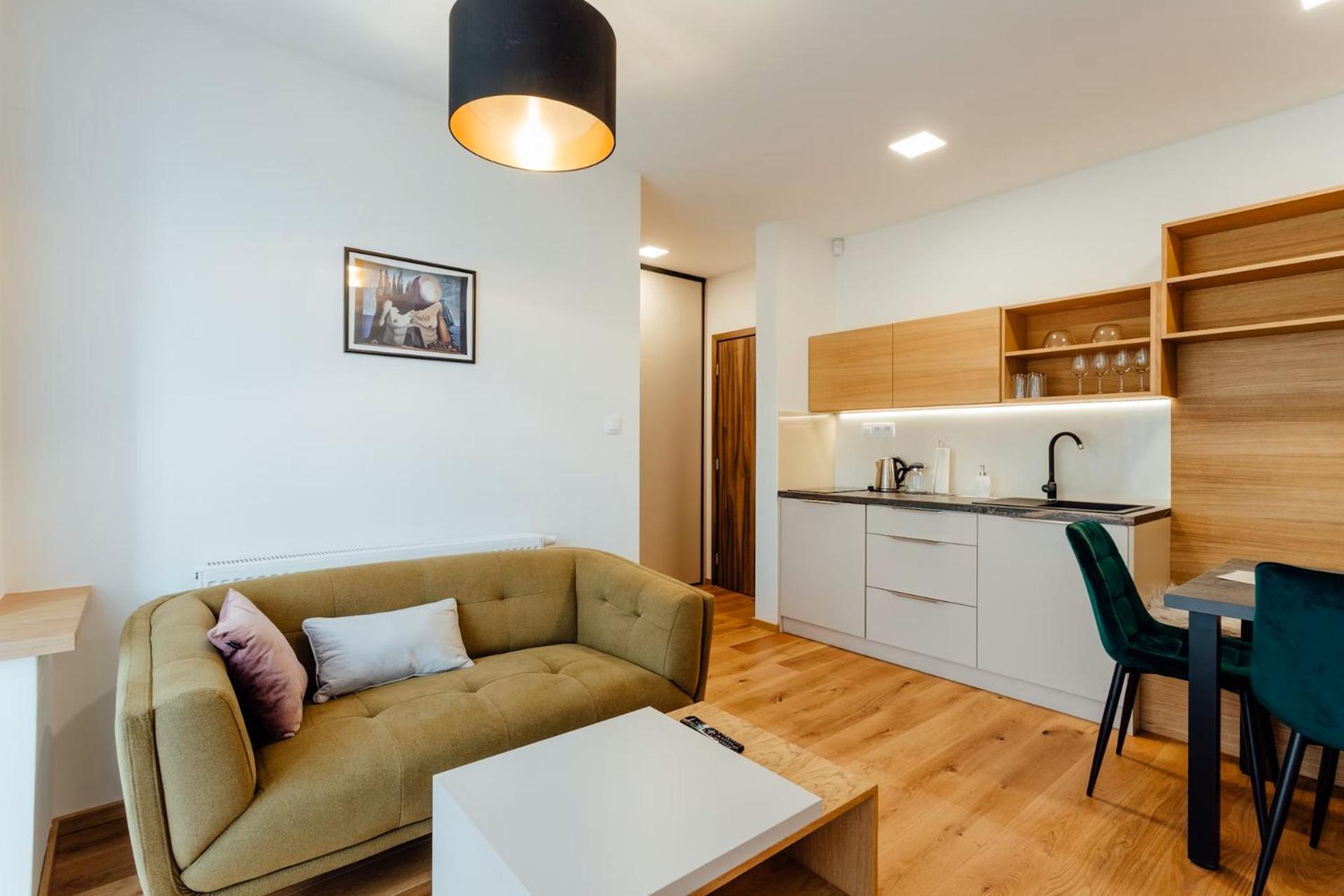 One-Bedroom Apartment photo 2