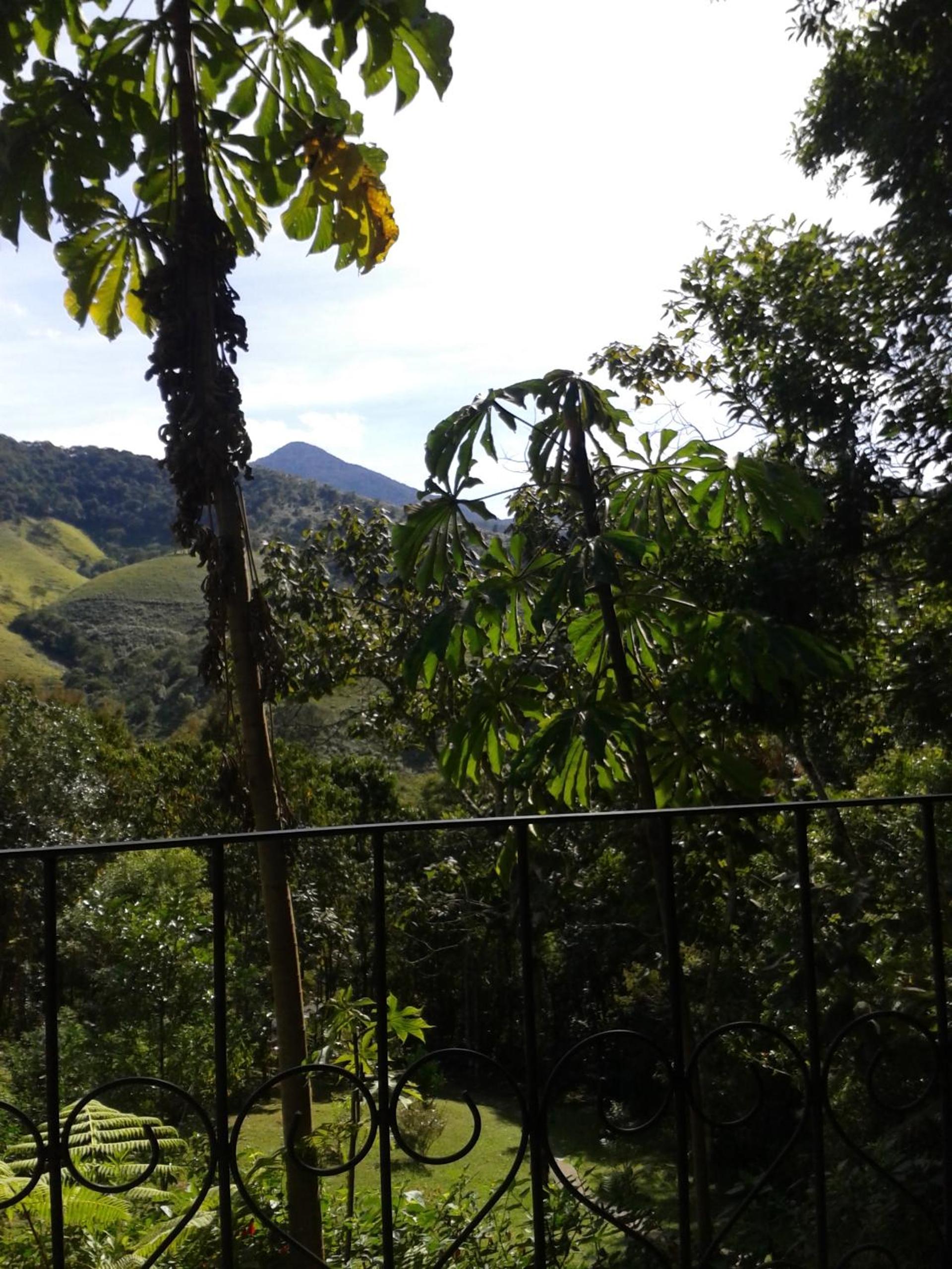 Superior Chalet photo 2