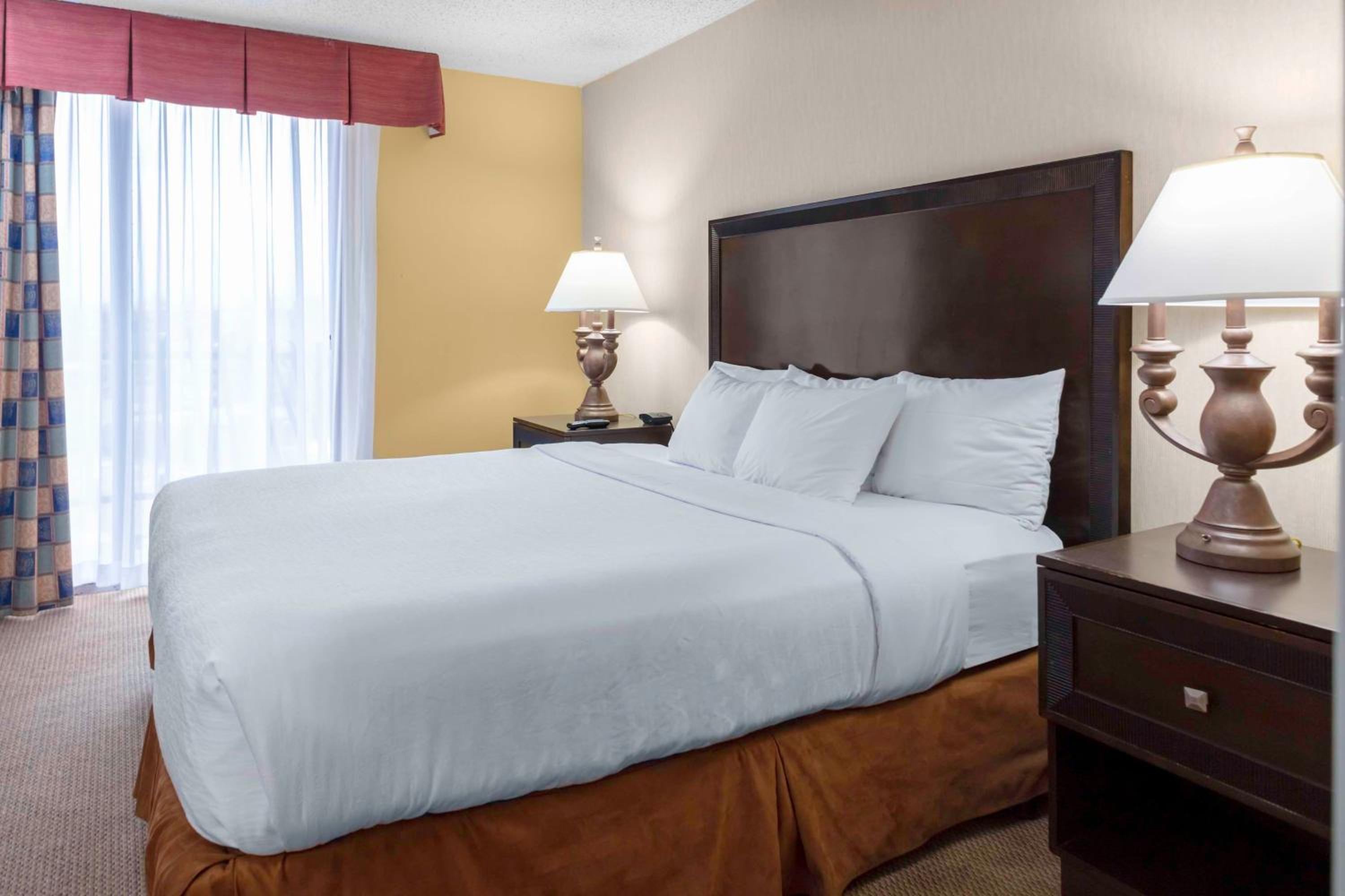 Family Suite photo 1
