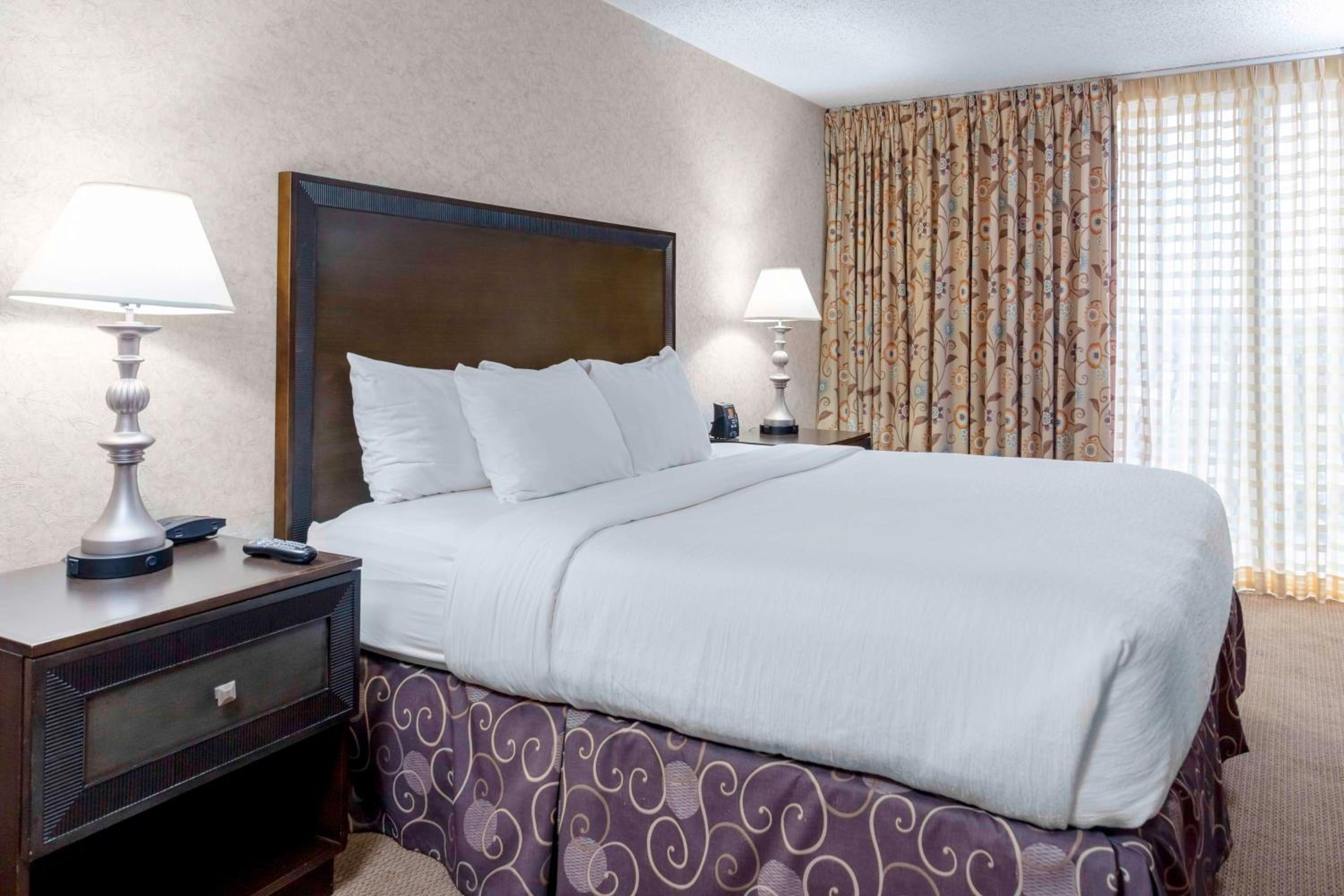 Family Suite photo 3