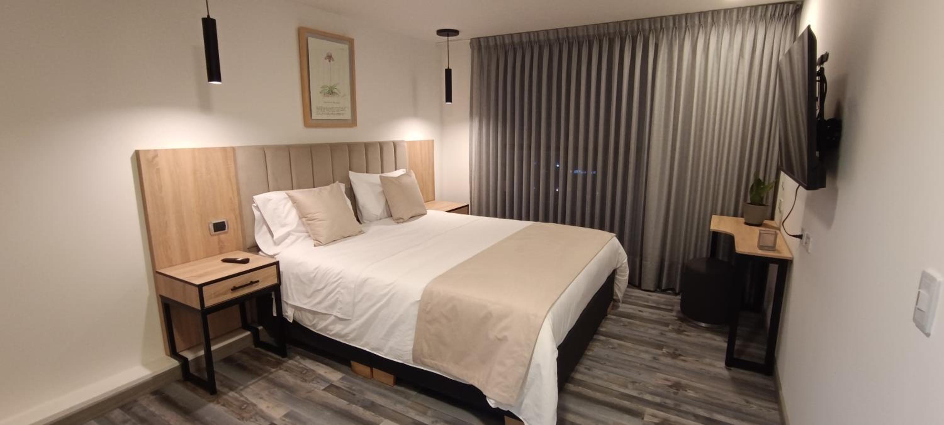 Standard Suite