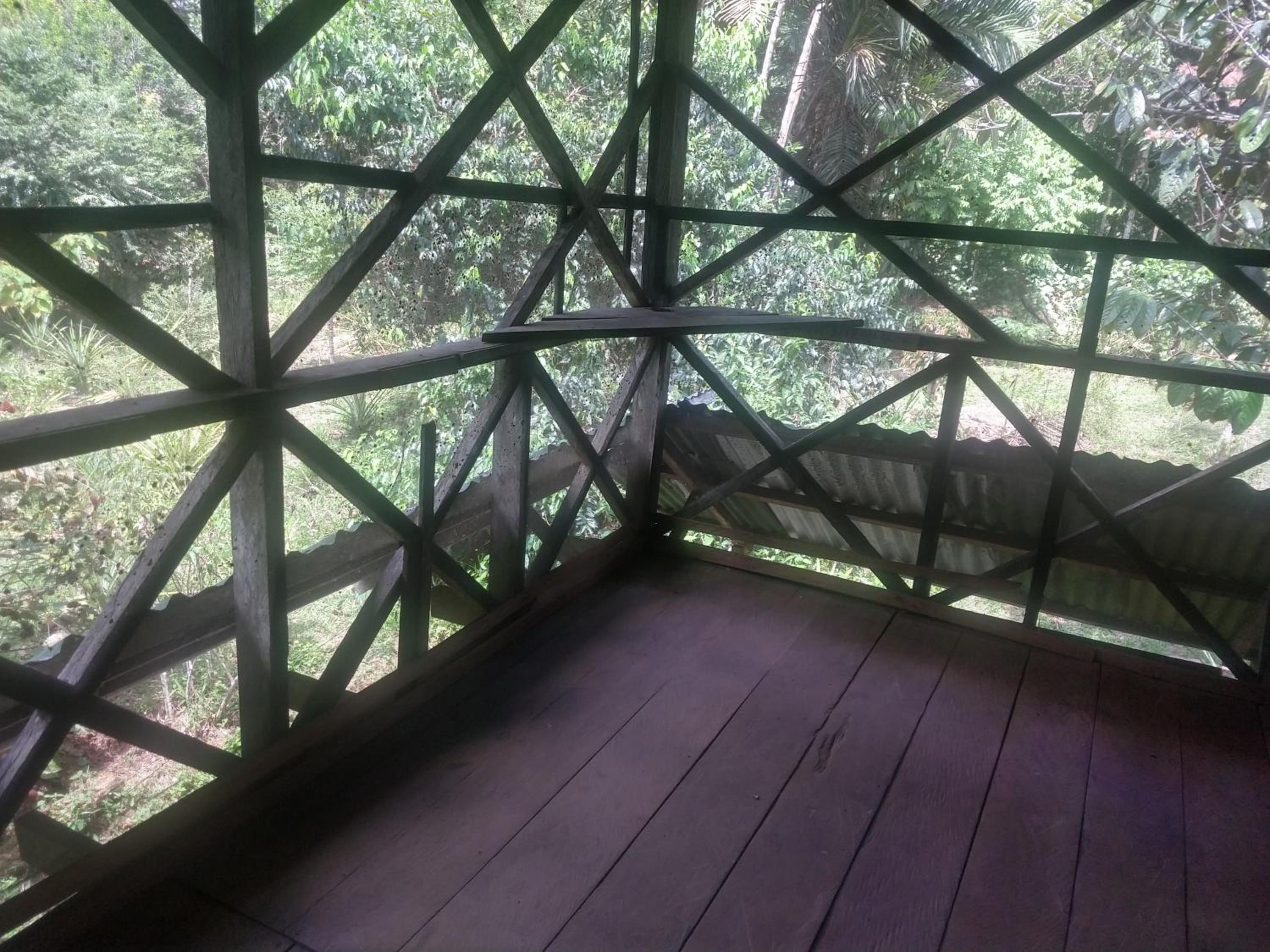Single Room With Balcony photo 3