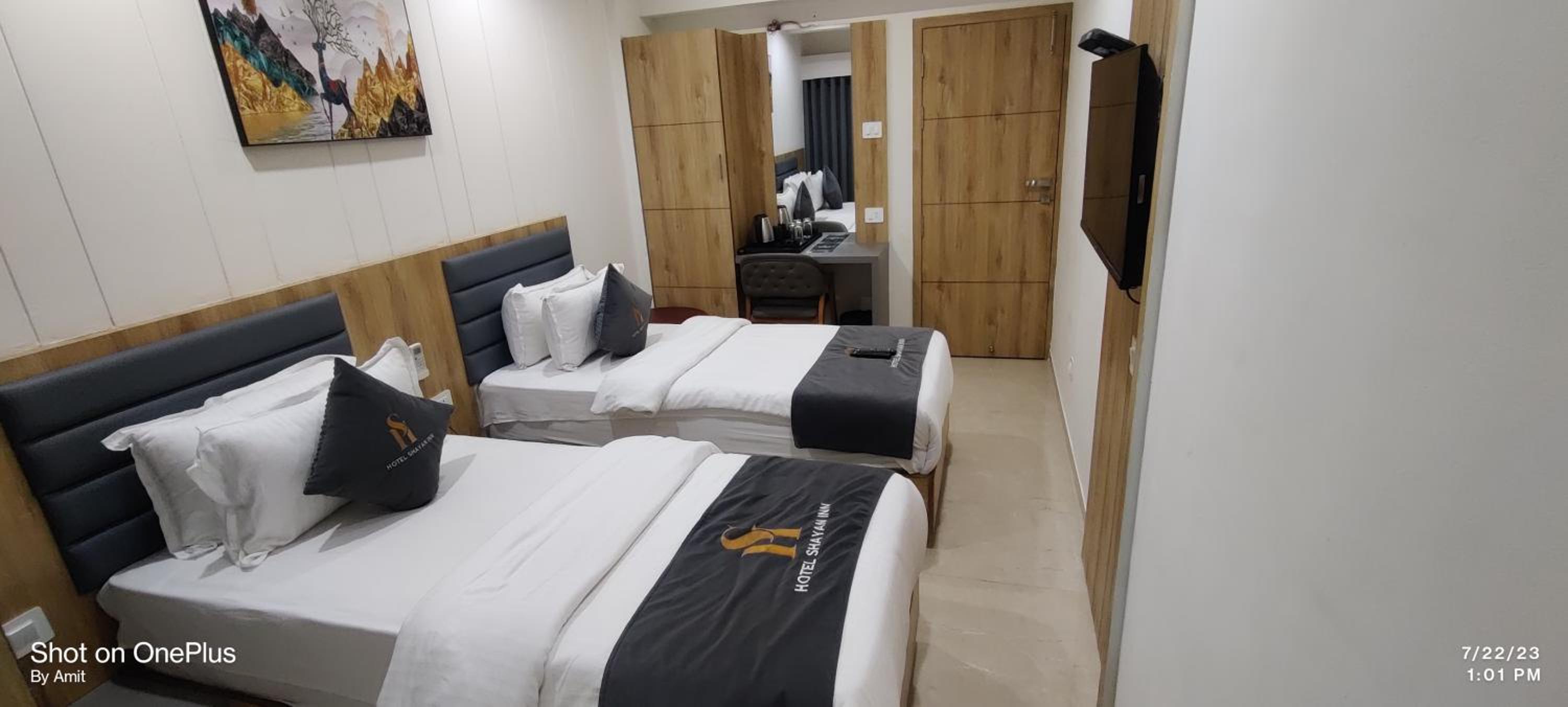 Deluxe Twin Room photo 3