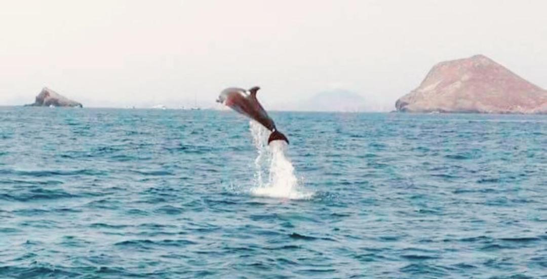 Two-Bedroom Apartment - Photo 64