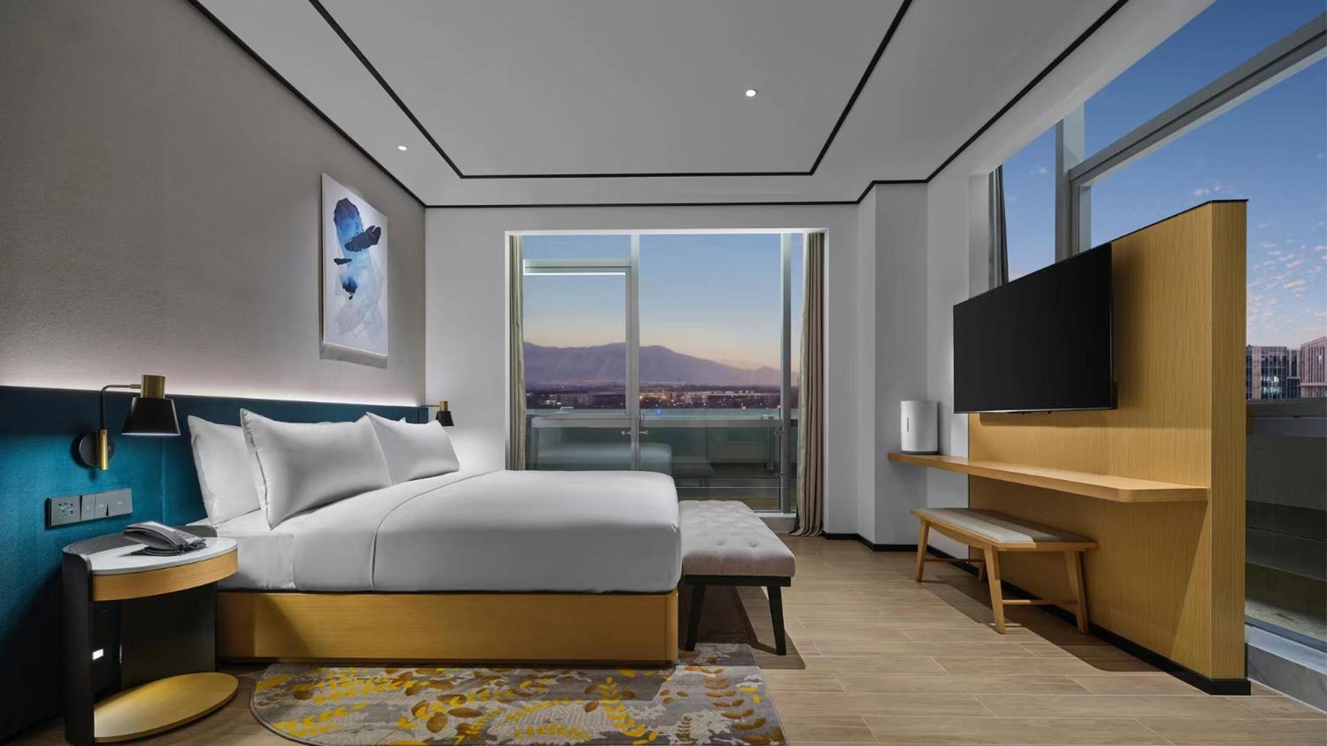 Premium Suite