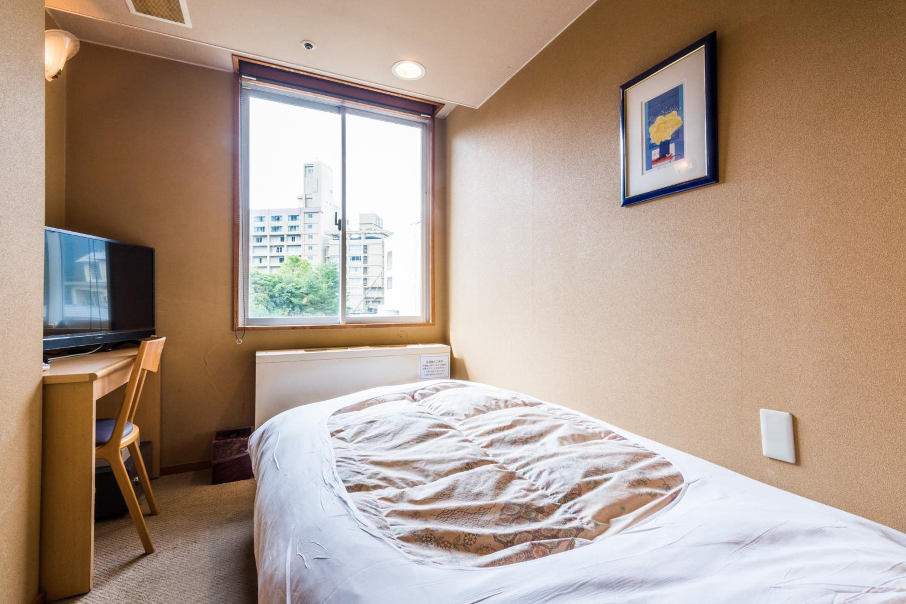 Single Room - Smoking photo 1